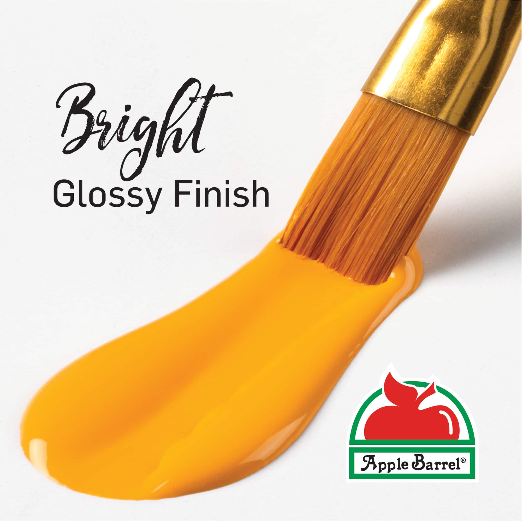 Apple Barrel® Gloss Acrylic Craft Paint 16 Color Set