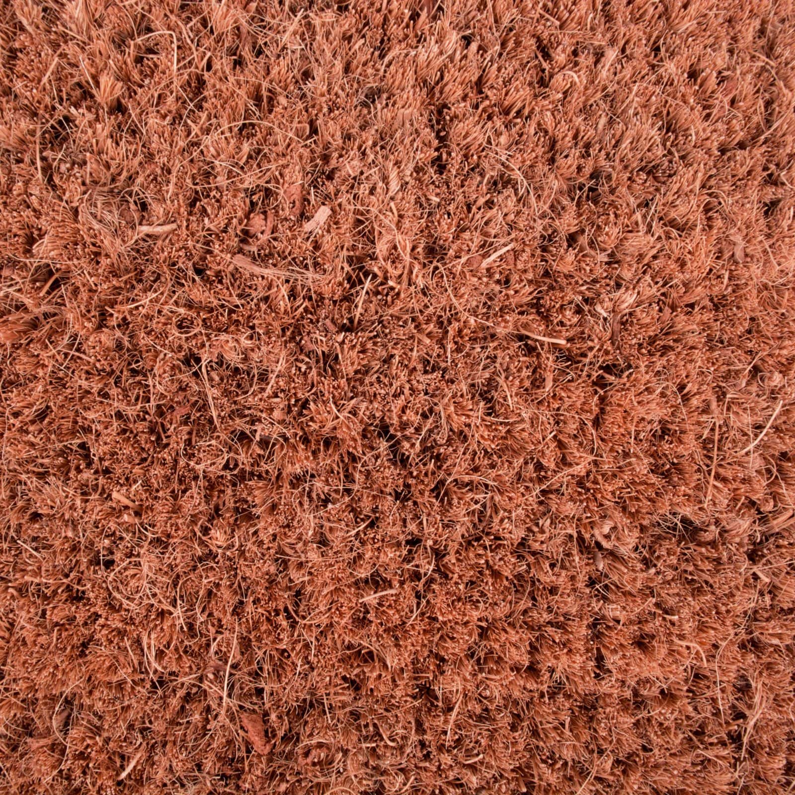 DII® Beach House Doormat