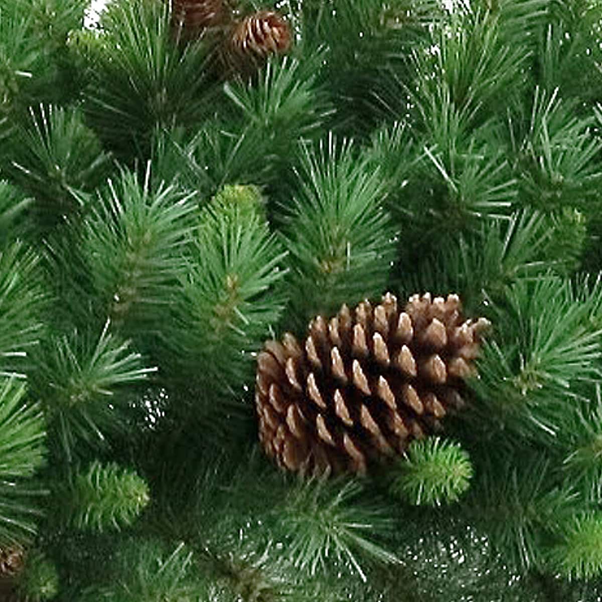 9ft. LED Garwood Spruce &#x26; Pinecones Garland