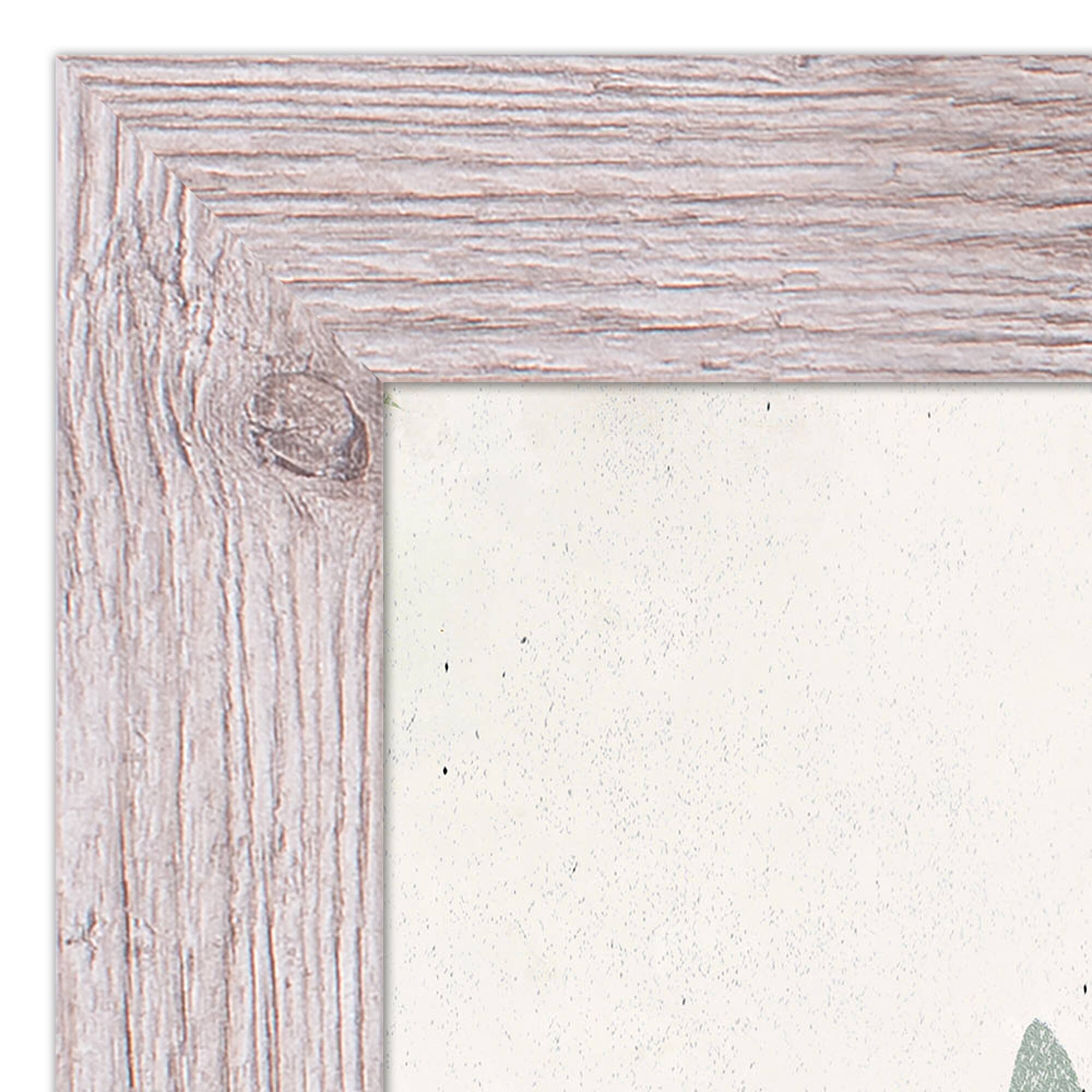 Modern Transitional Flowers 16" x 20" Western White Framed Print