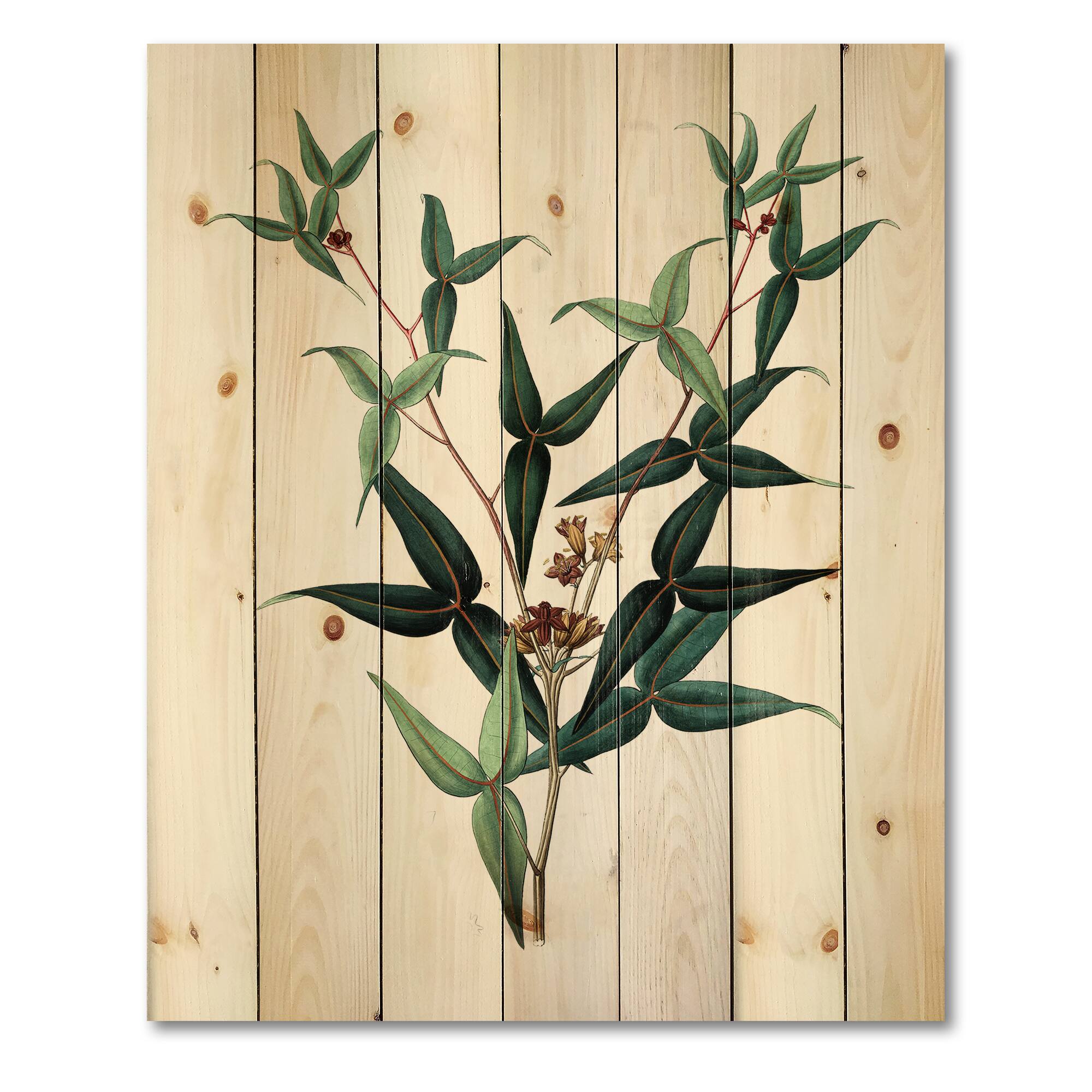 Designart - Vintage Green Leaves Plants VIII - Traditional Print on Natural Pine Wood