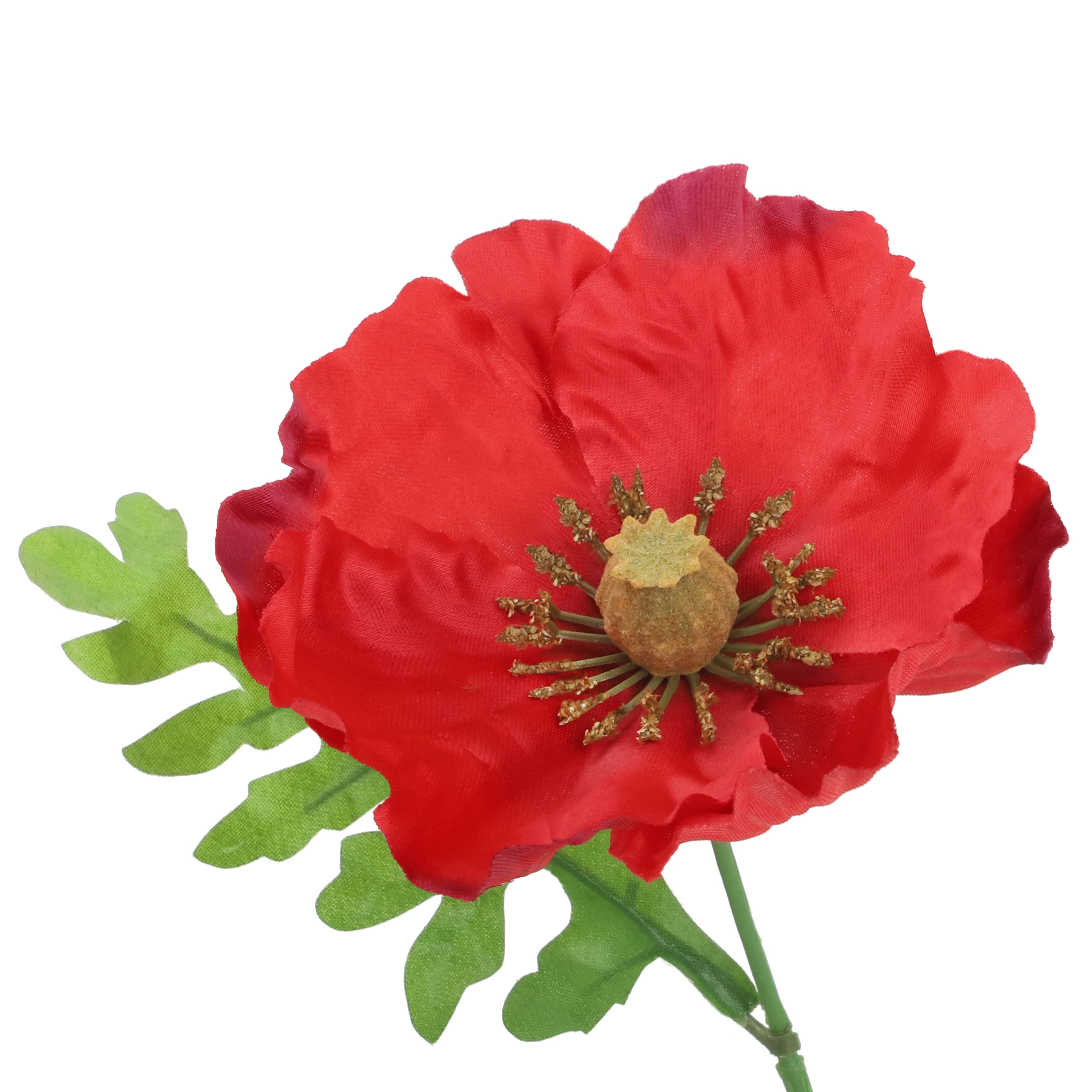 20&#x22; Red Poppy Bush by Ashland&#xAE;