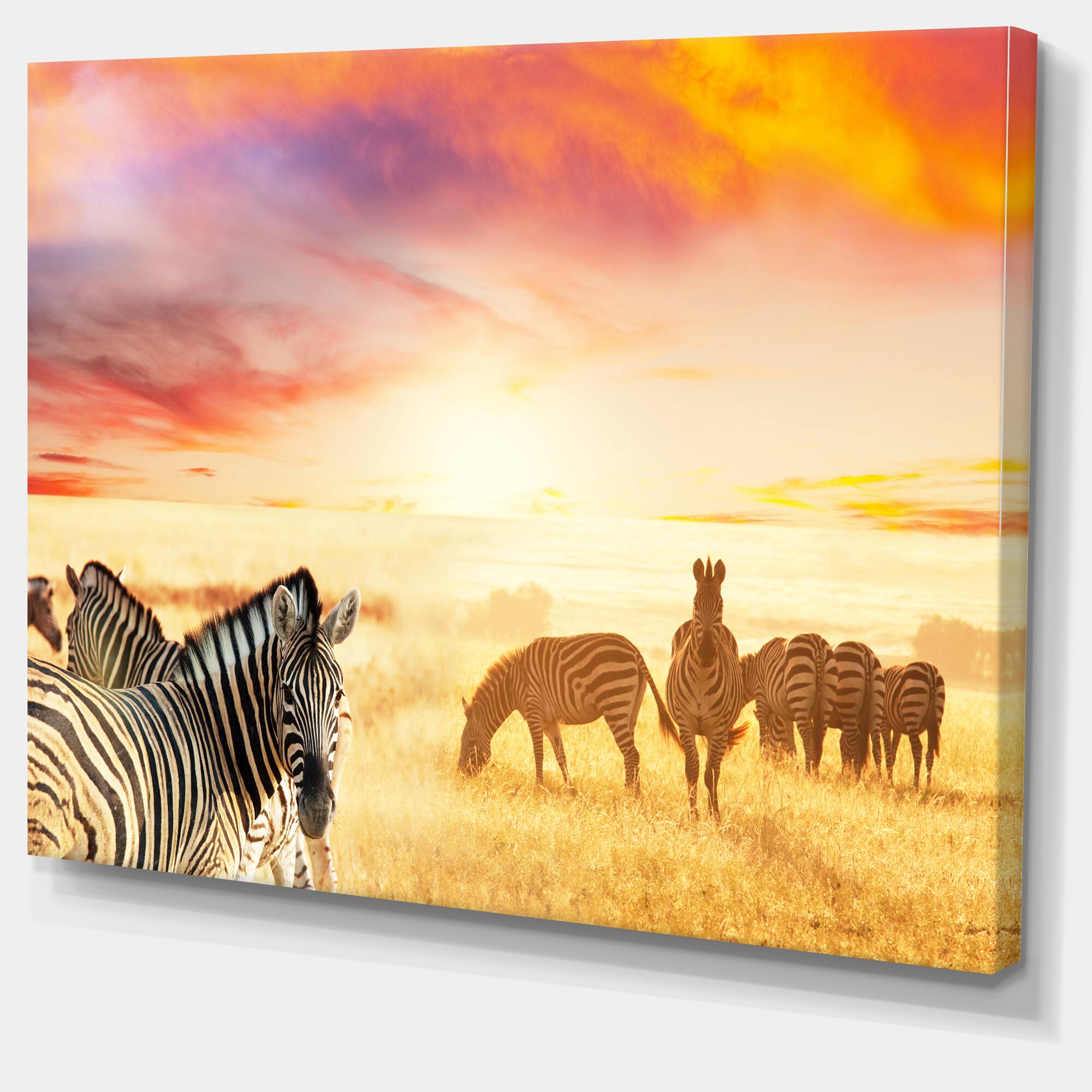 Designart - Cute Zebras Grazing in Grassland - Animal Canvas Art Print