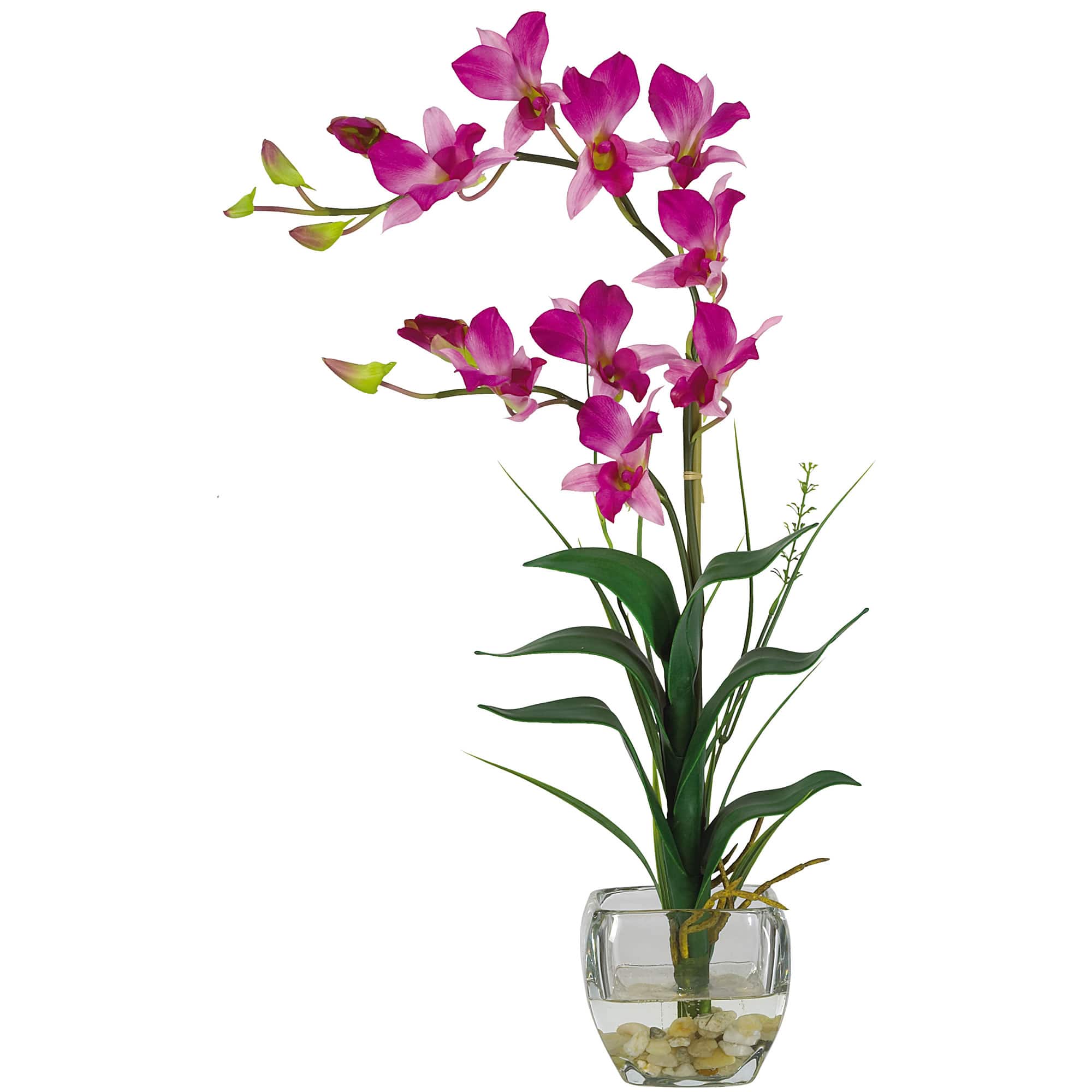 22" Orchid Arrangement with Glass Vase