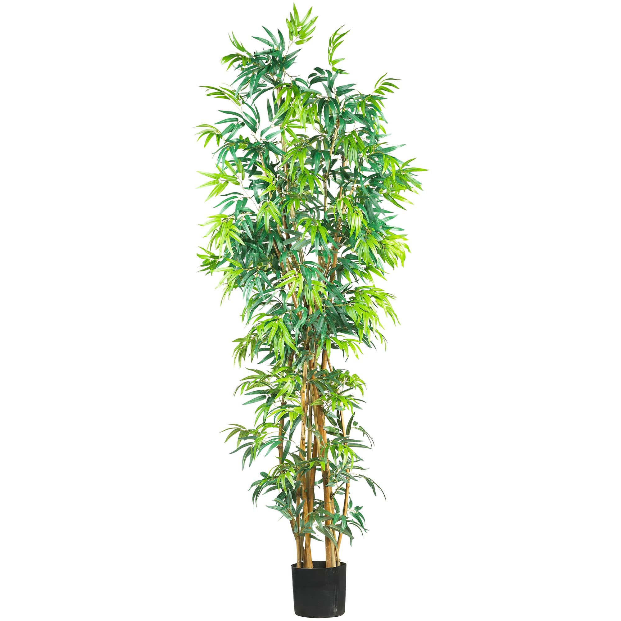 7ft. Potted Curved Bamboo Silk Tree