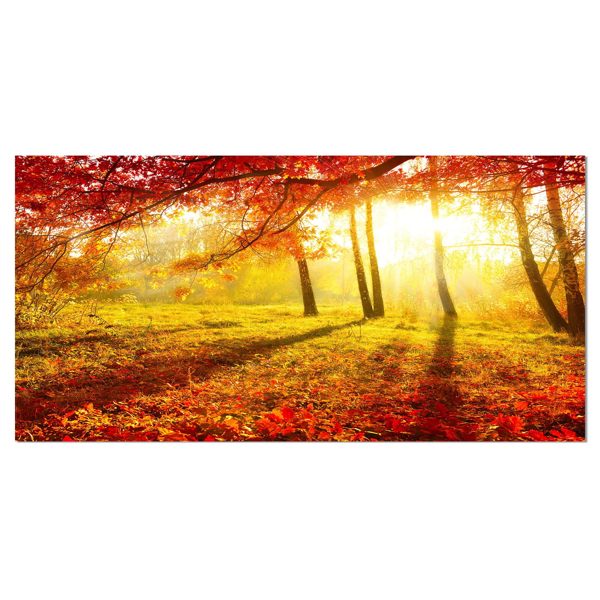 Designart - Yellow Red Fall Trees and Leaves - Landscape Canvas Art Print