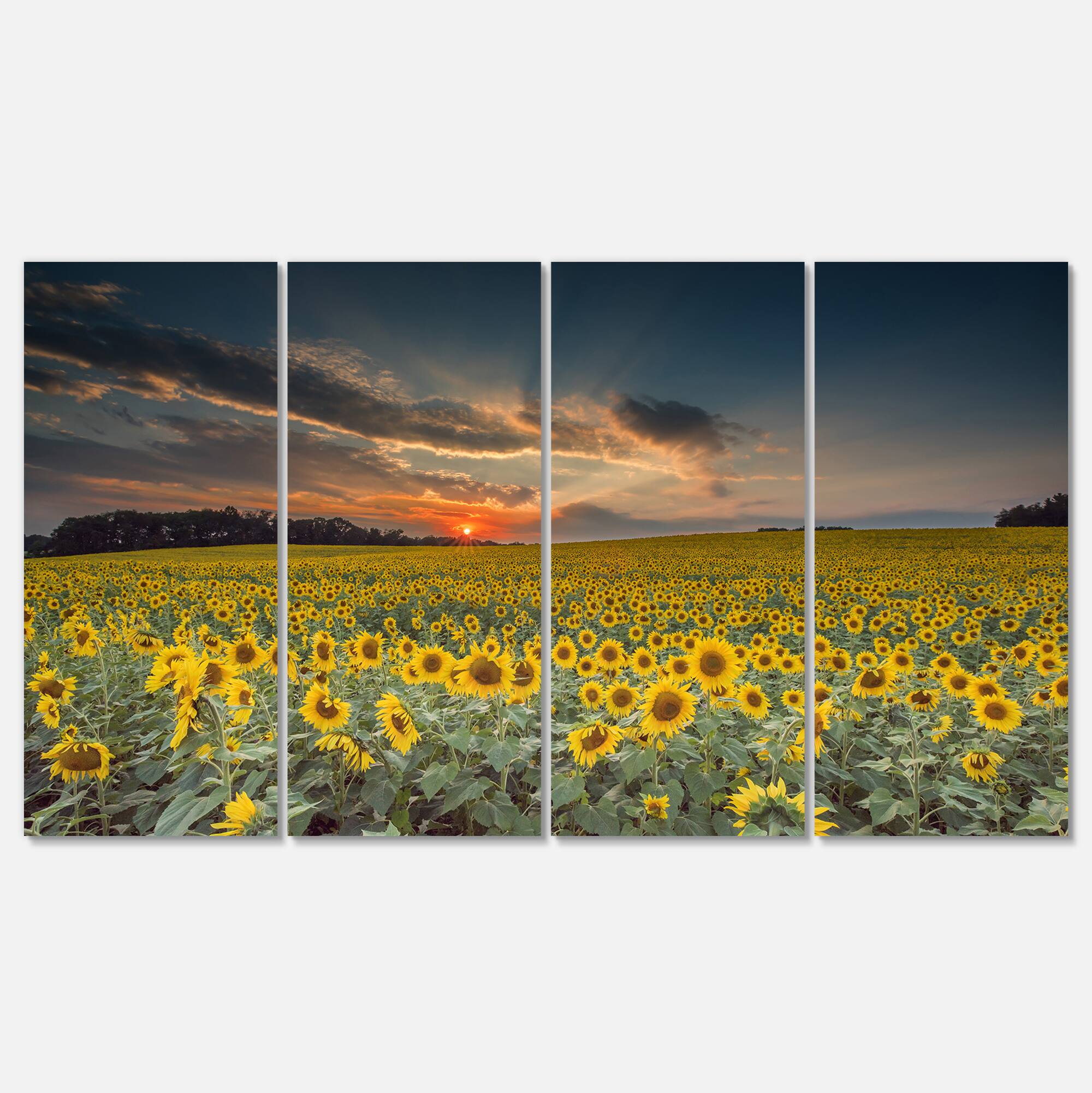 Designart - Sunflower Sunset with Cloudy Sky