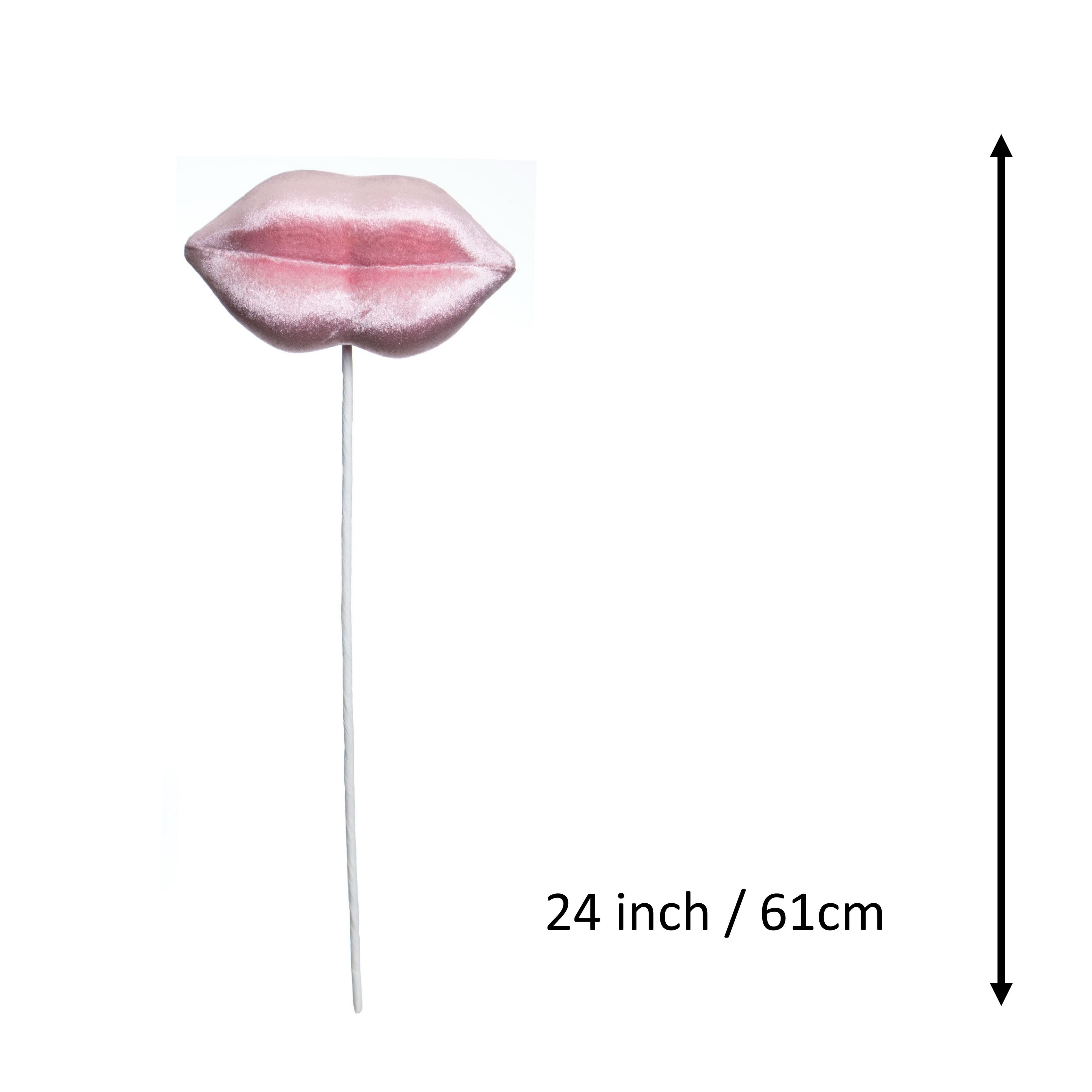 24" Velvet Lips Stem by Ashland