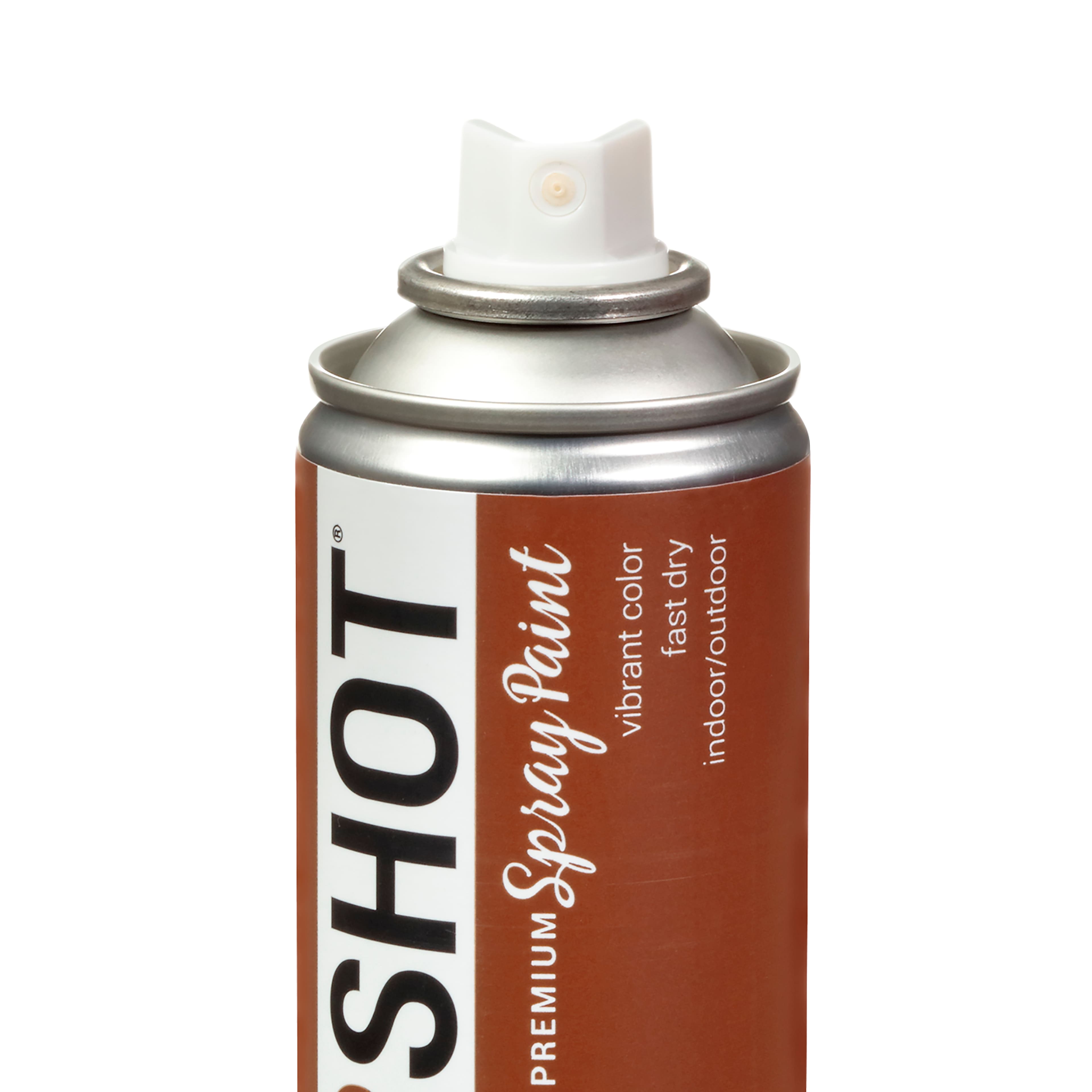 COLORSHOT&#xAE; Premium Satin Spray Paint