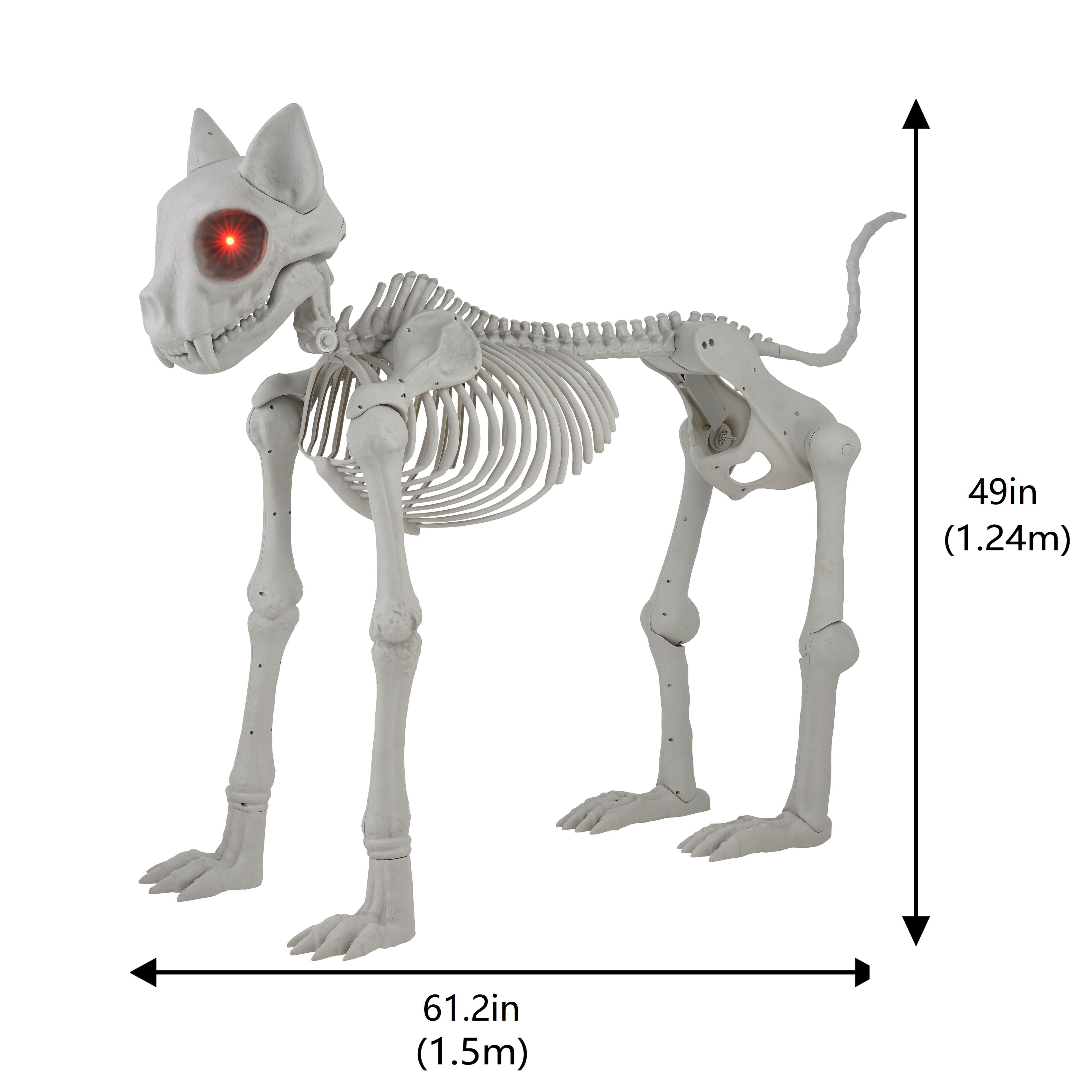 5ft. Oversized Posable Cat Skeleton by Ashland&#xAE;