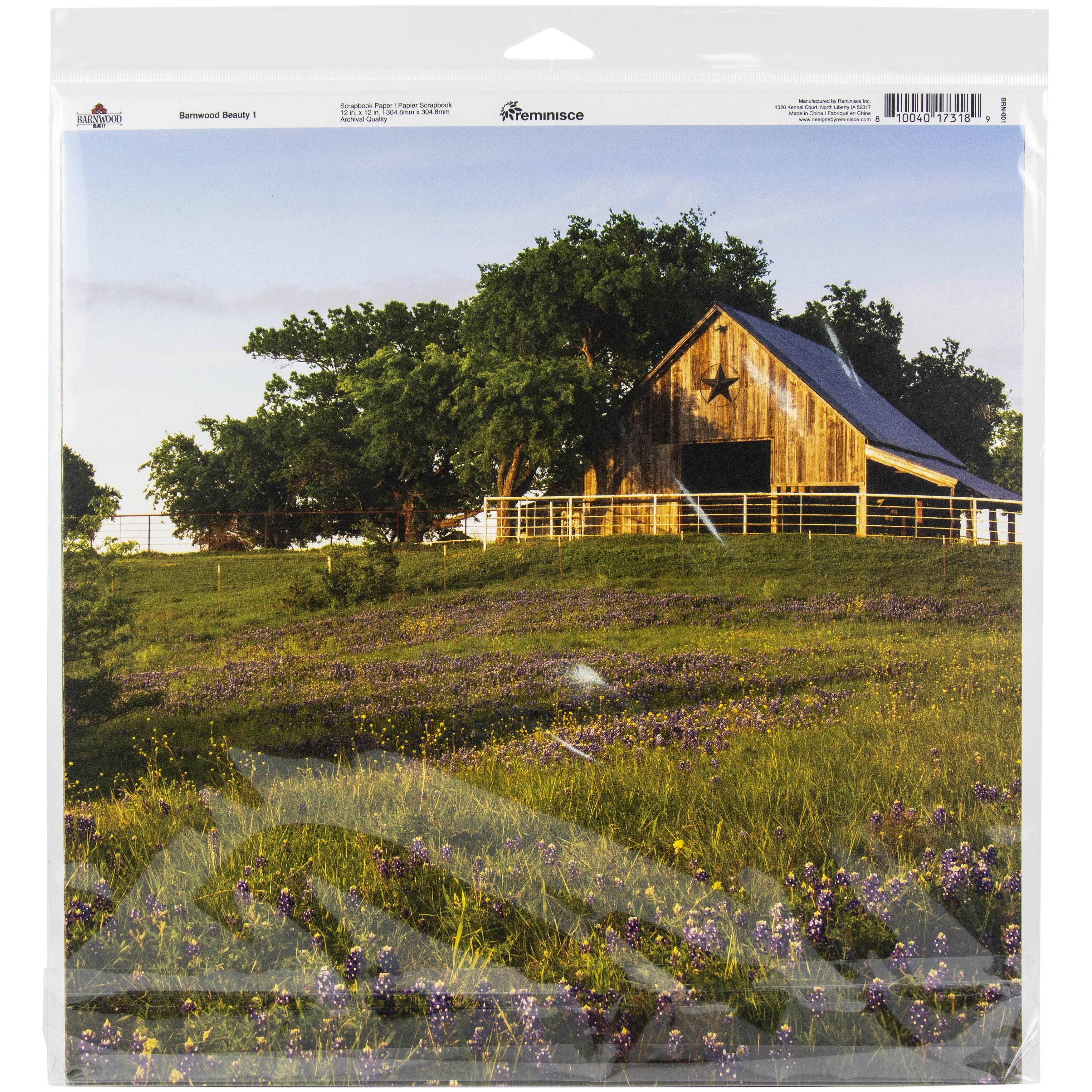 Reminisce Collection Kit 12"X12"-Barnwood Beauty