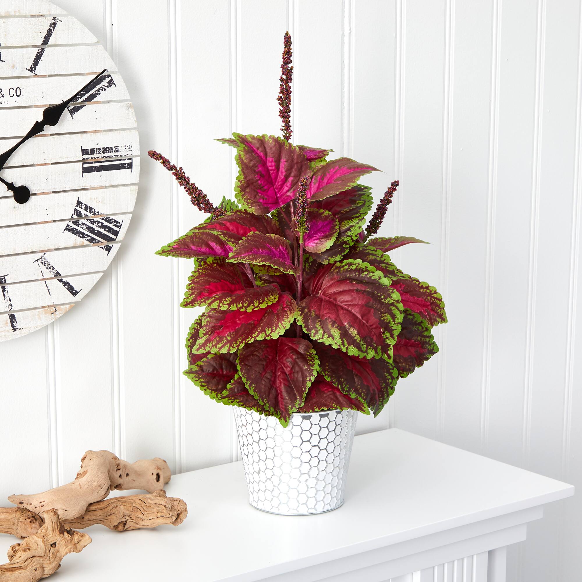 2ft. Burgundy Coleus Artificial Plant in Embossed White 2ft. Burgundy Coleus Artificial Plant in Embossed White