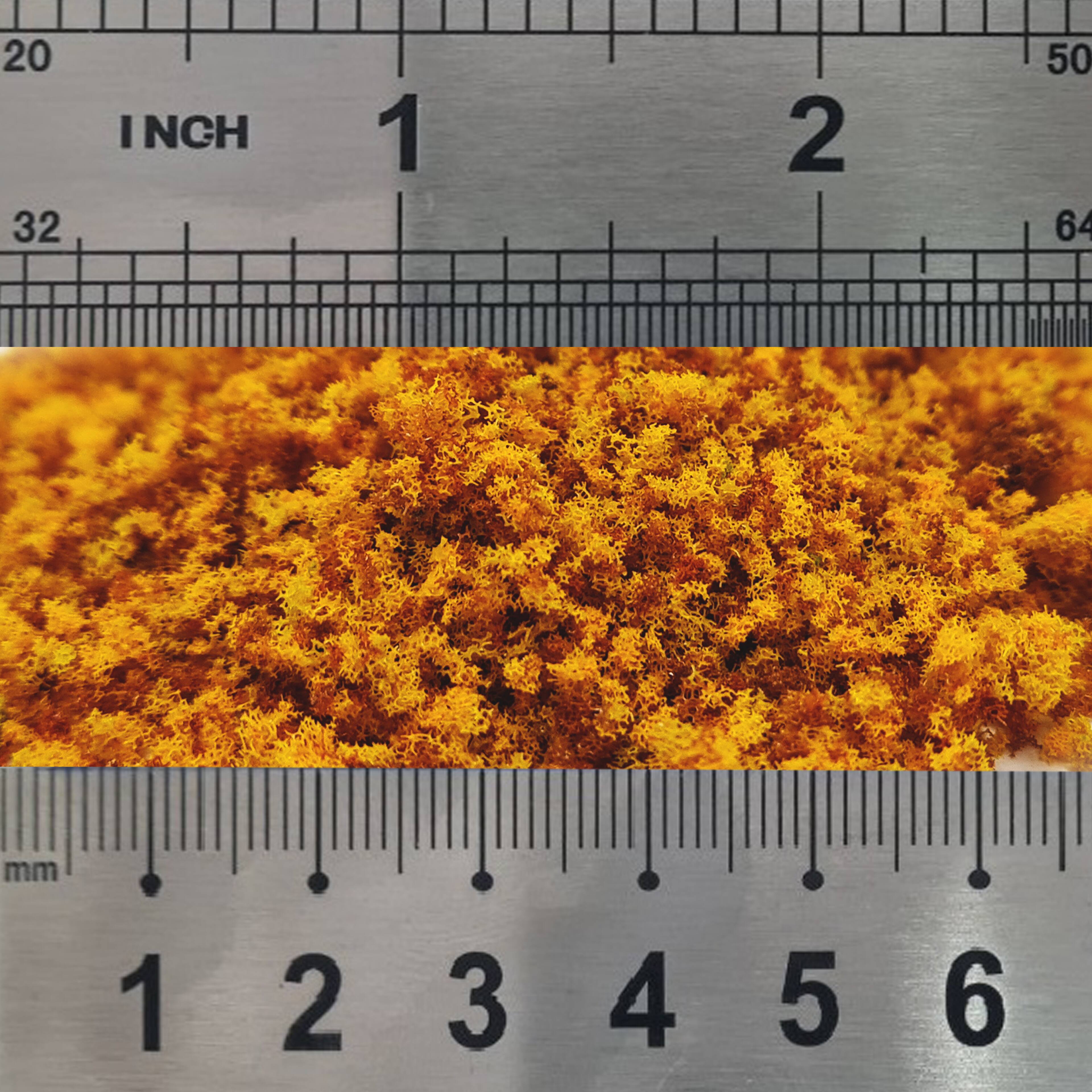 JTT Scenery Products Early Fall Orange Foliage