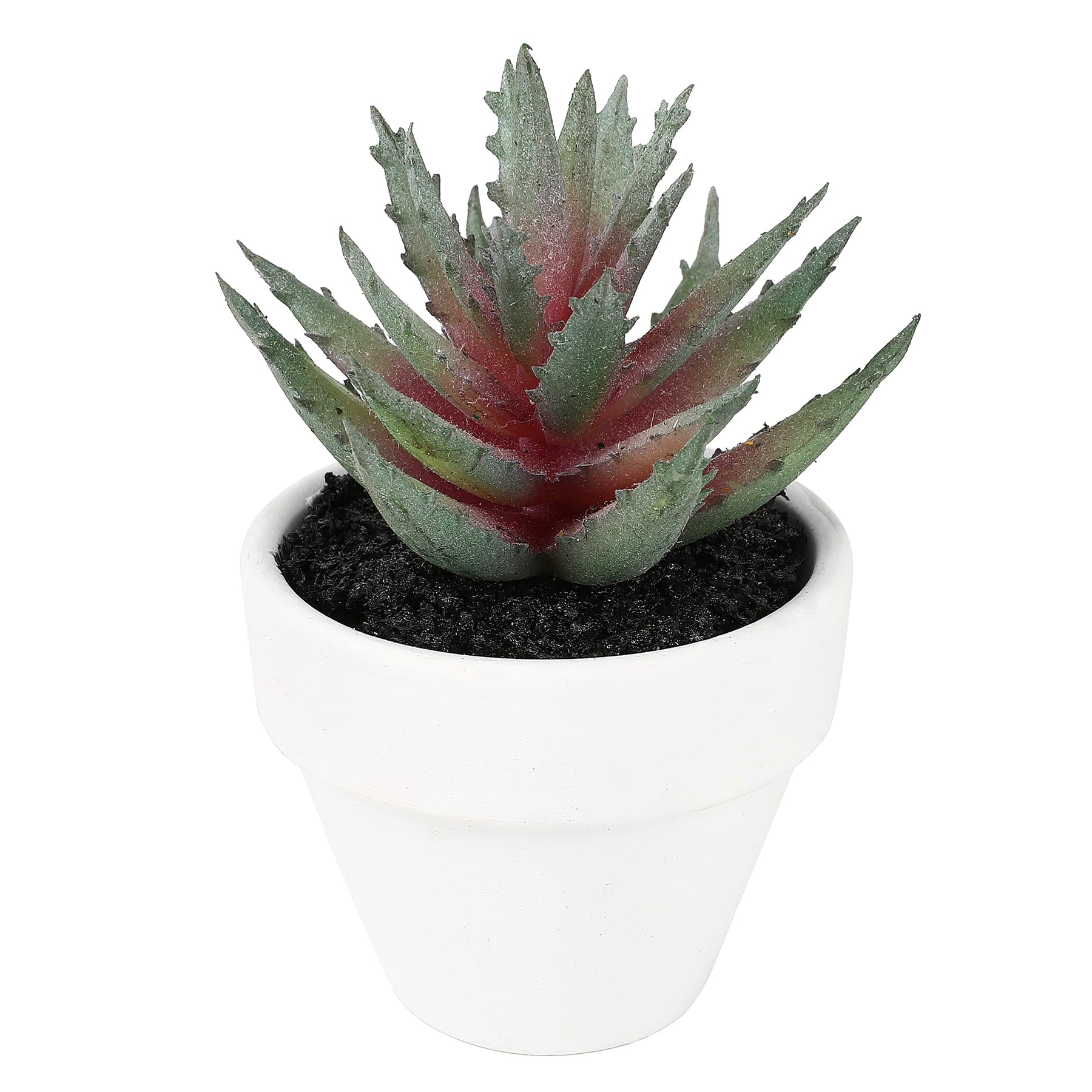 3&#x22; Aloe Plant in White Pot by Ashland&#xAE;