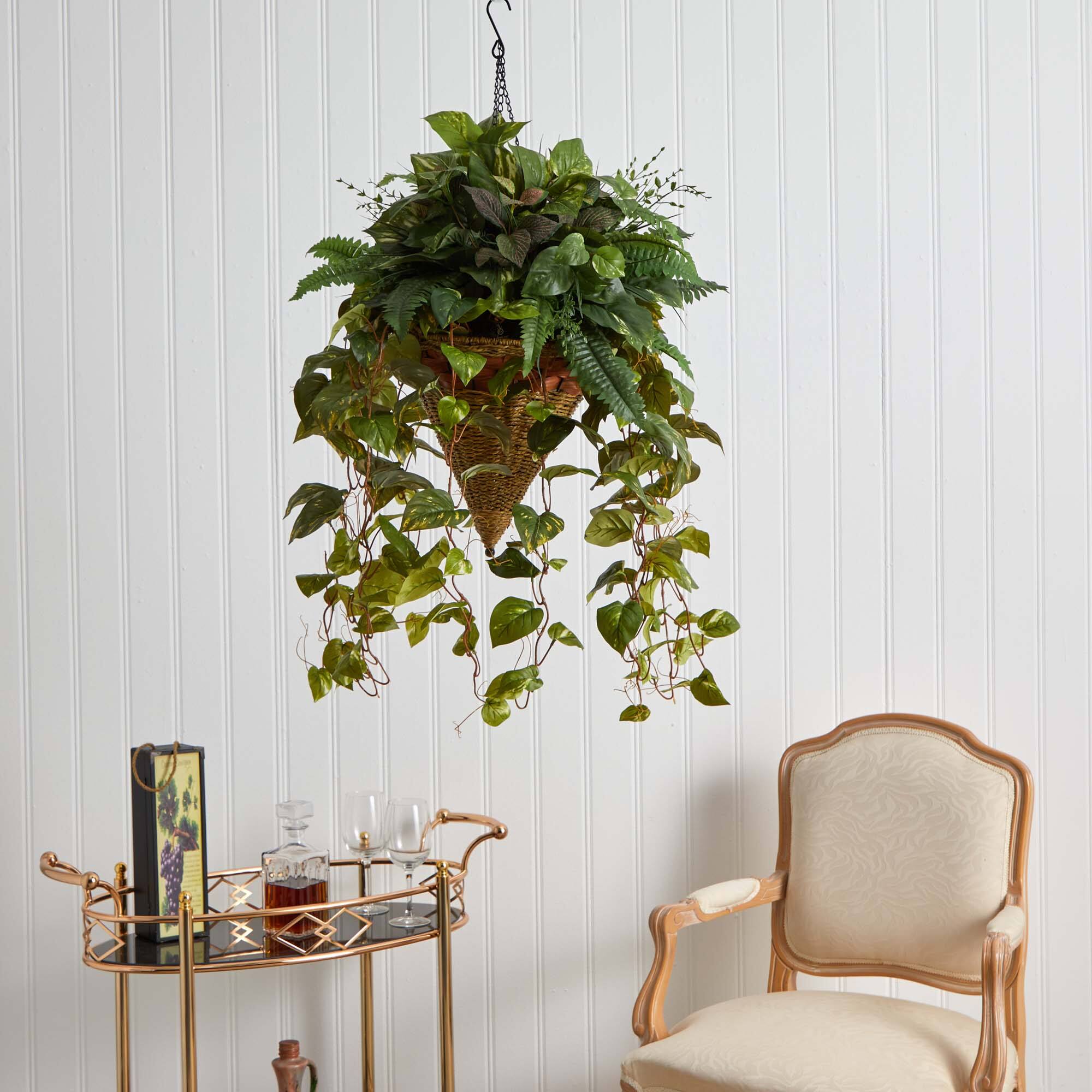 3ft. Mixed Green Vines in Cone Hanging Basket