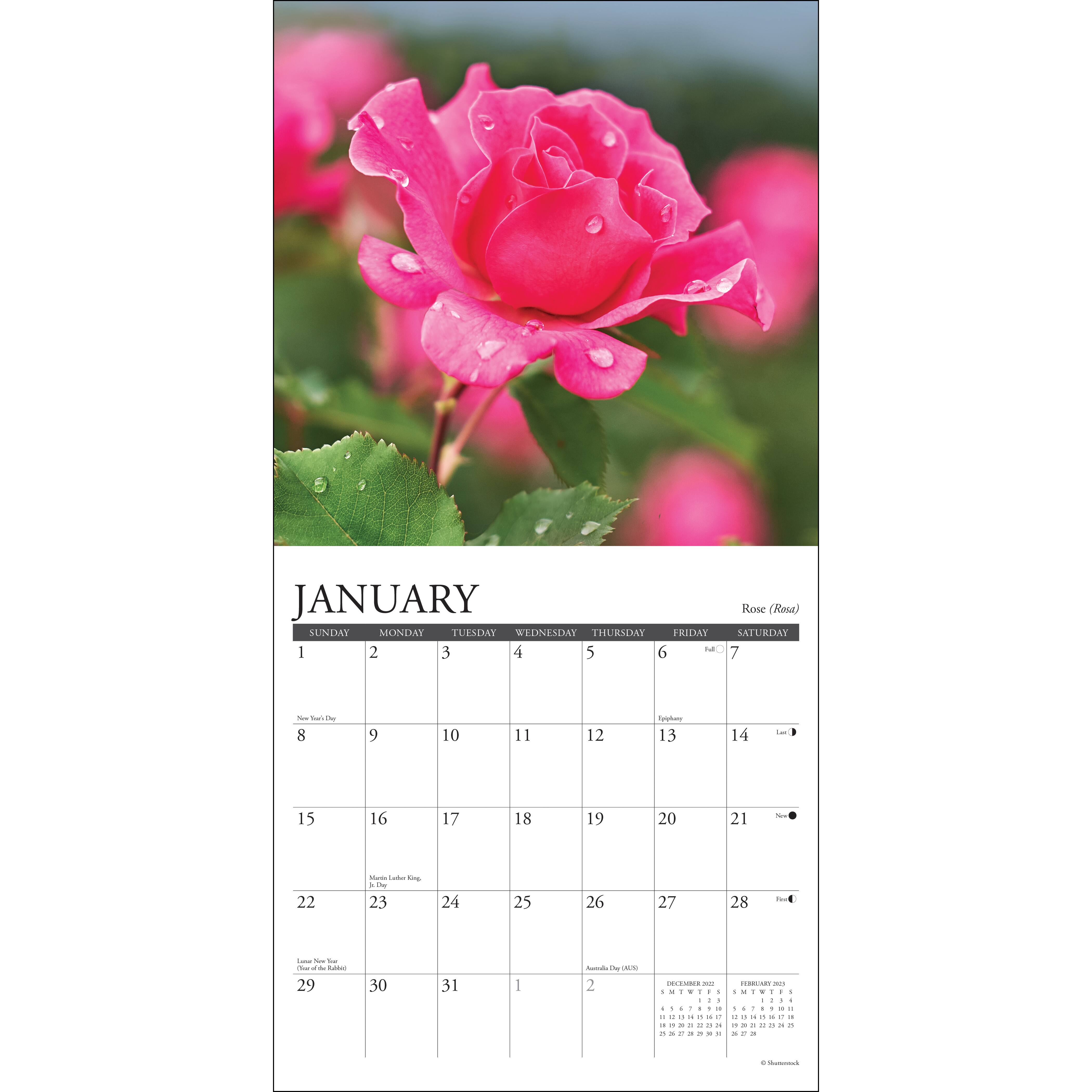 2023 Flowers Mini Wall Calendar Michaels