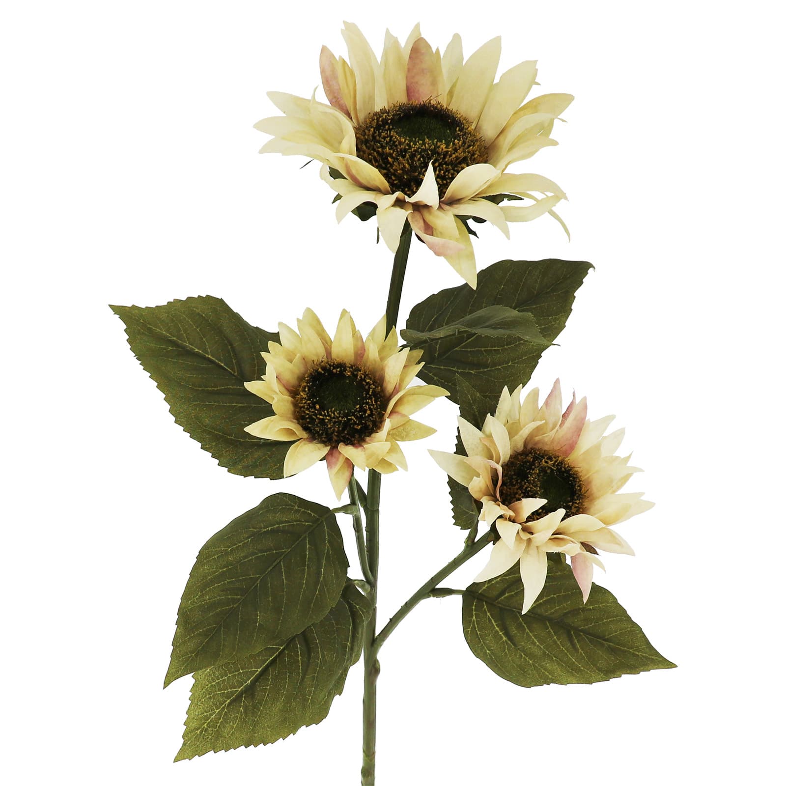 29&#x22; Cream Sunflower Stem by Ashland&#xAE;