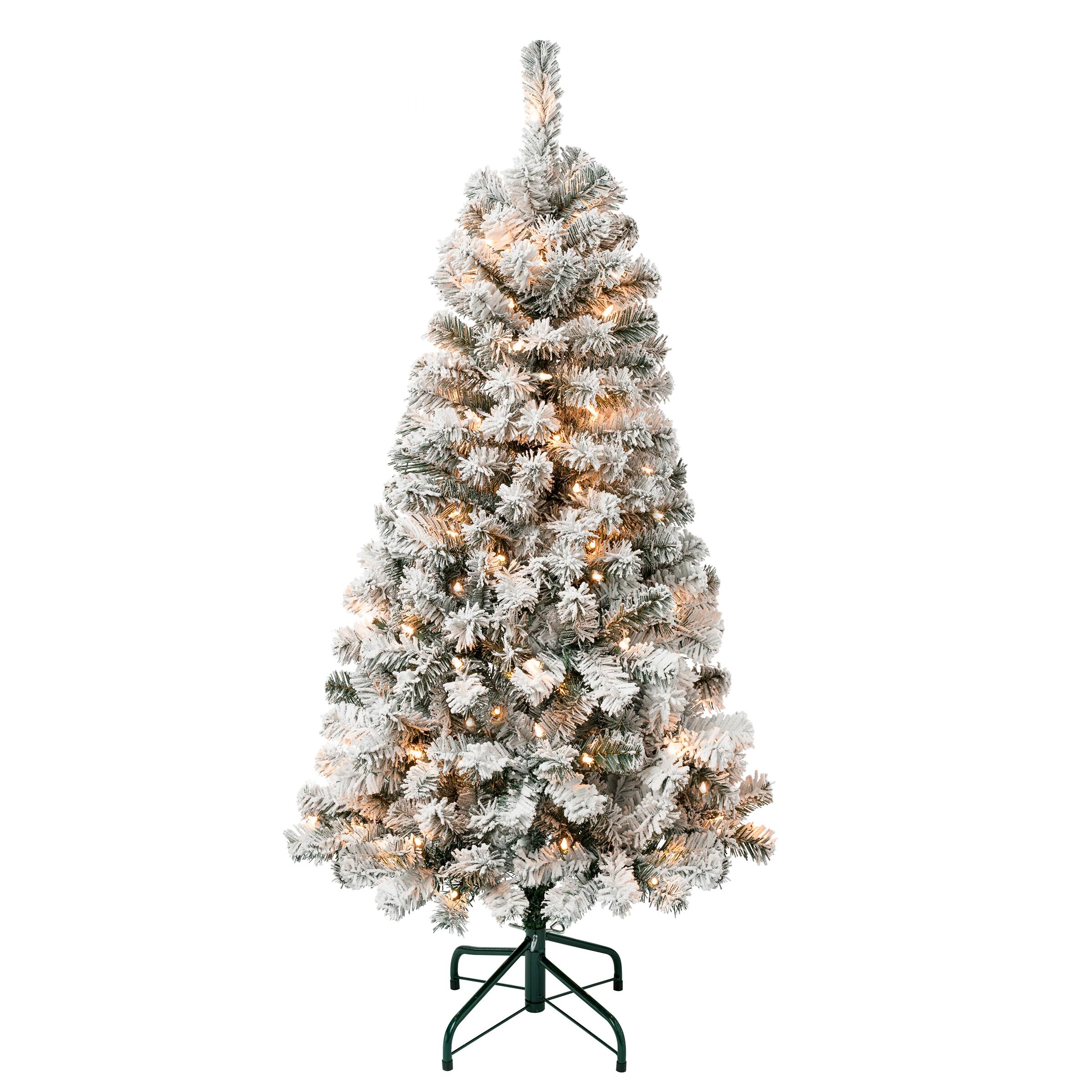 4.5ft. Pre-Lit Flocked Acacia Artificial Christmas Tree, Clear Lights