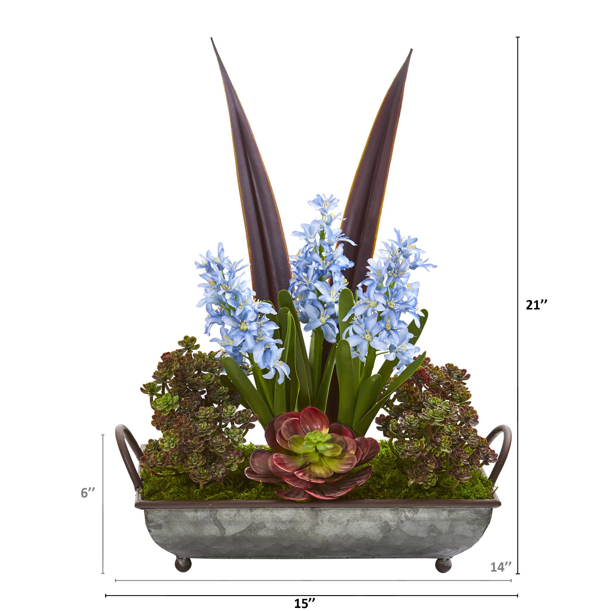 21" Hyacinth & Succulent Plant in Metal Tray