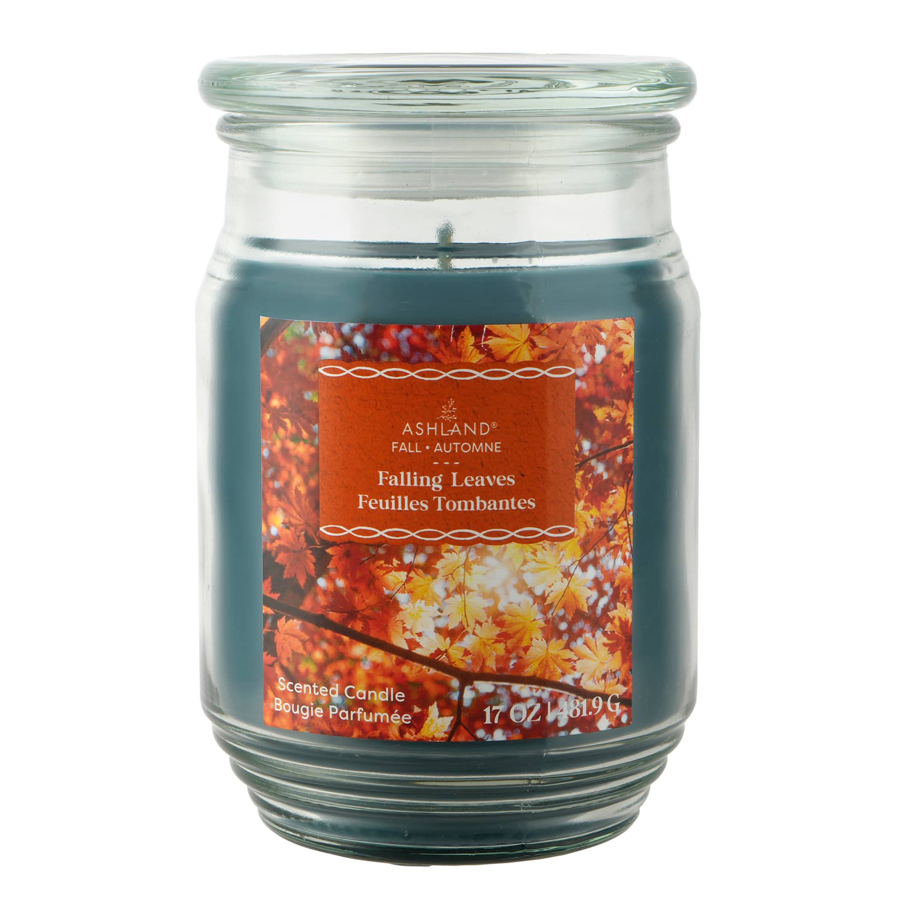 17oz. Fall Scented Jar Candle by Ashland&#xAE;