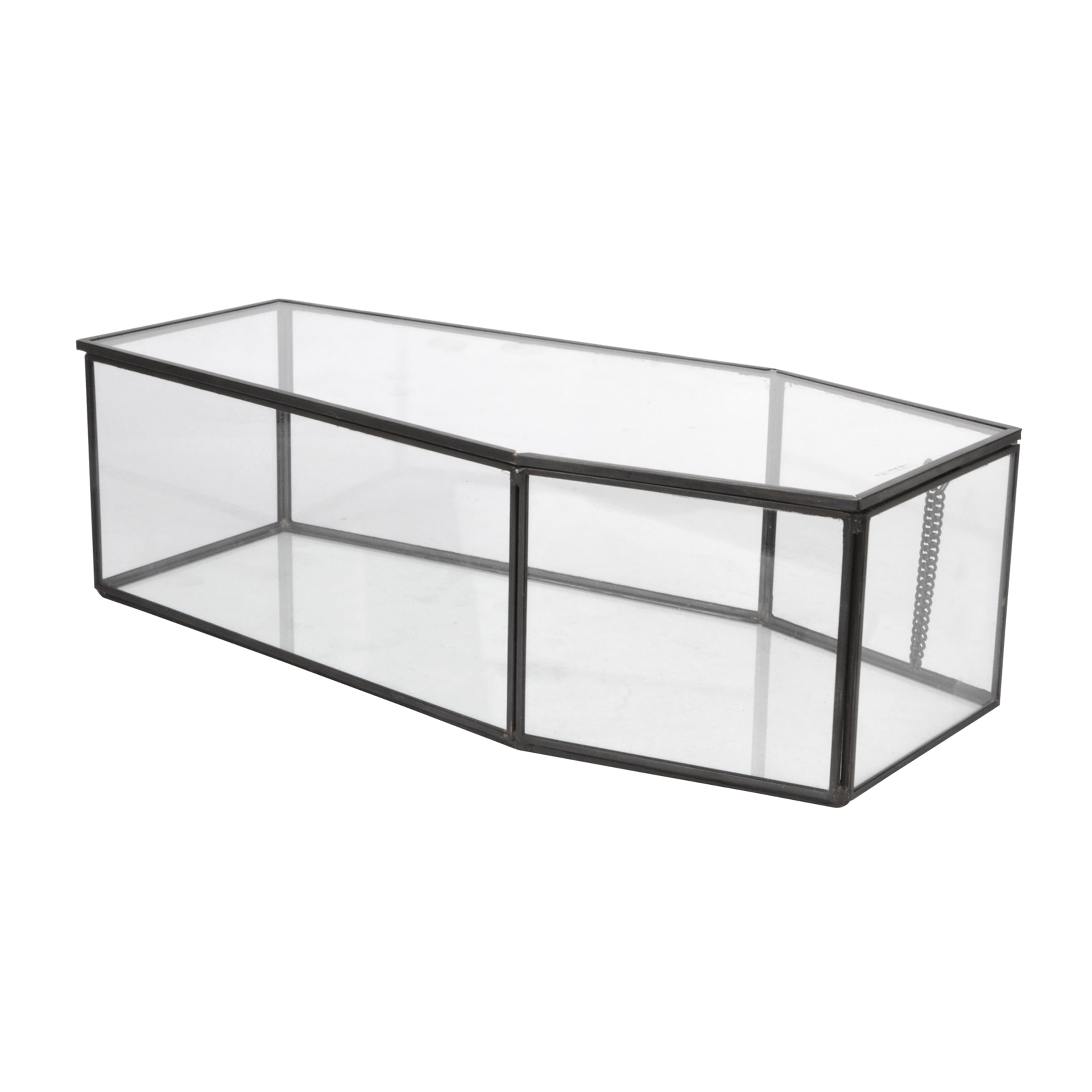 Coffin Terrarium by Ashland&#xAE;