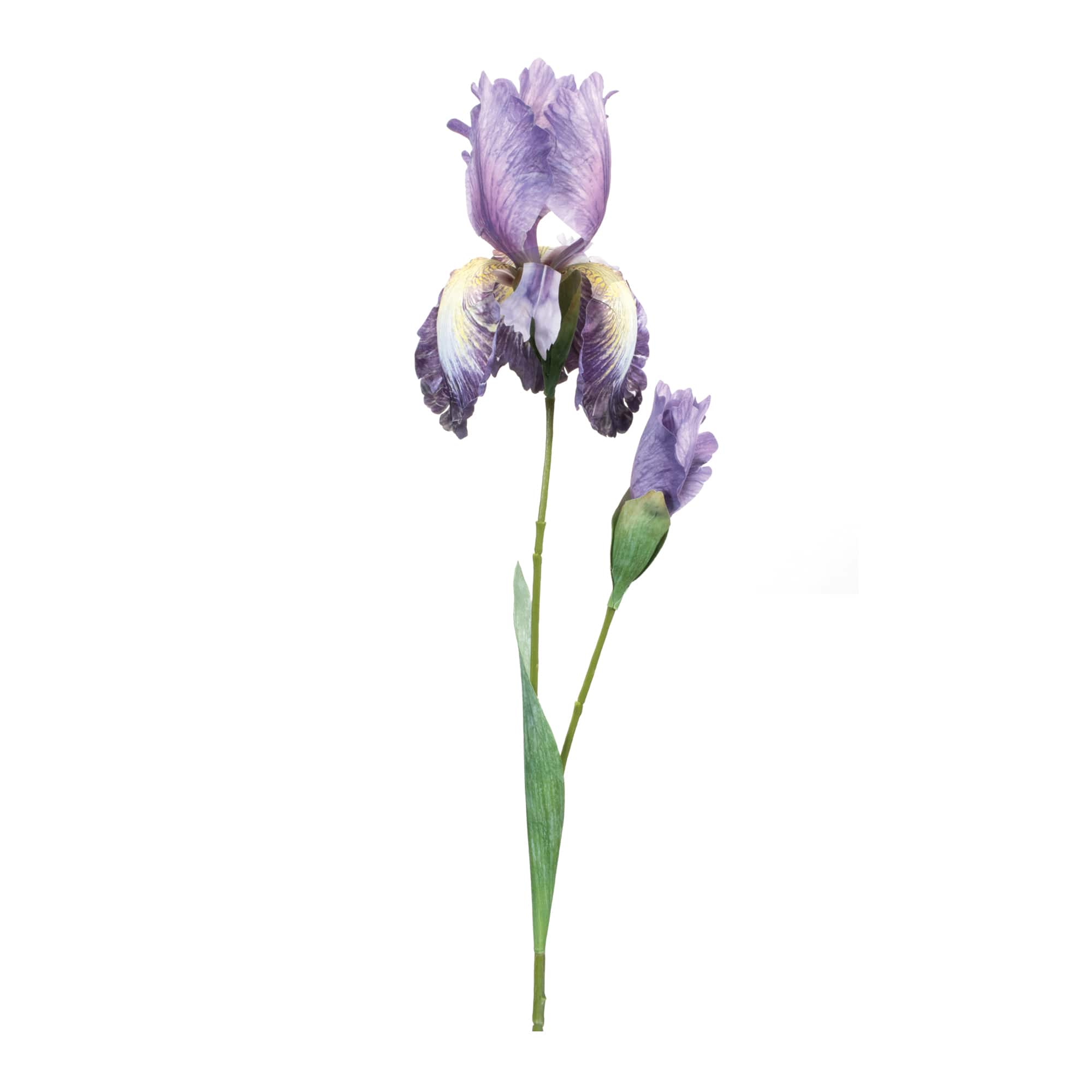 32.5&#x22; Iris Floral Stem, 6ct.