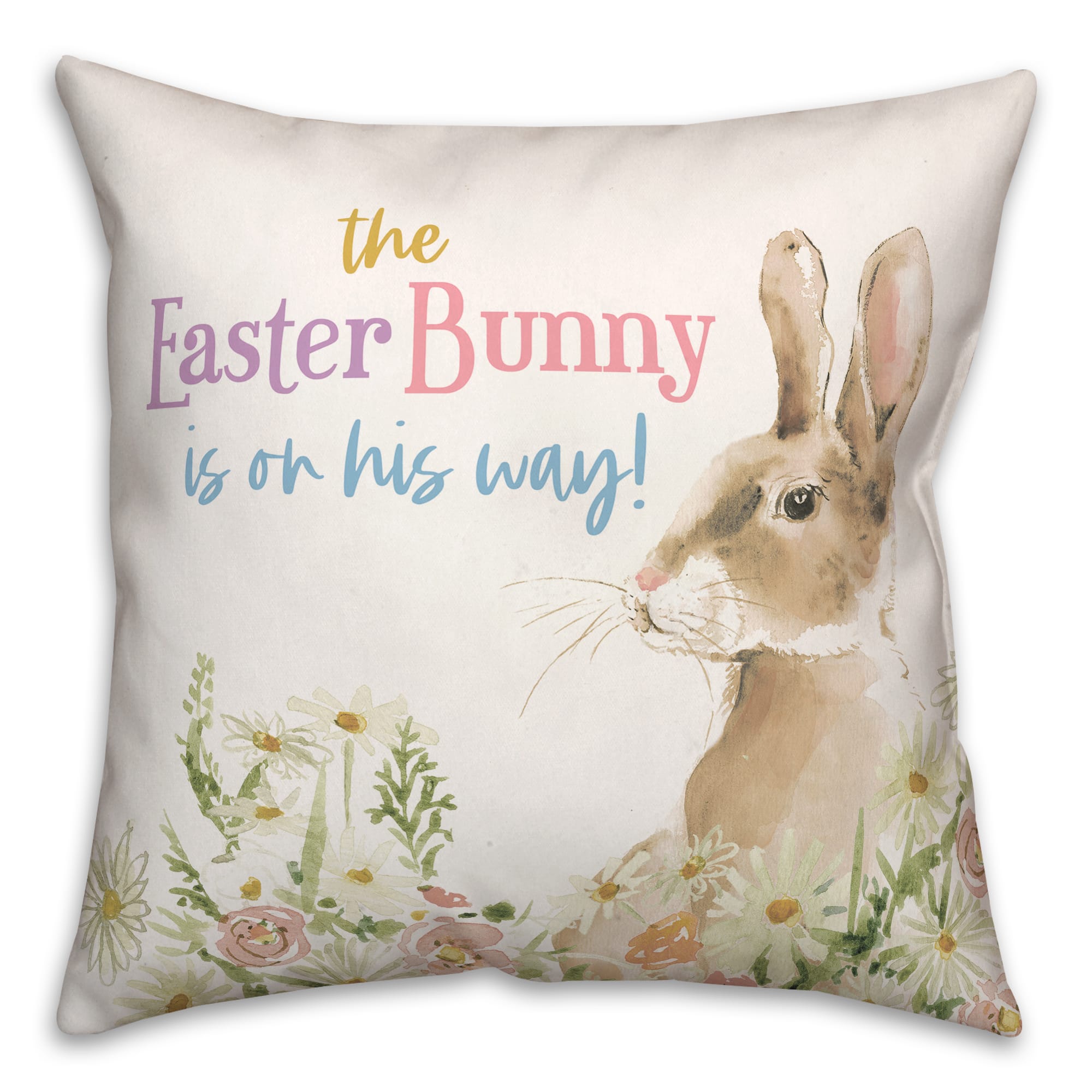 Easter Bunny On His Way 18" x 18" Throw Pillow