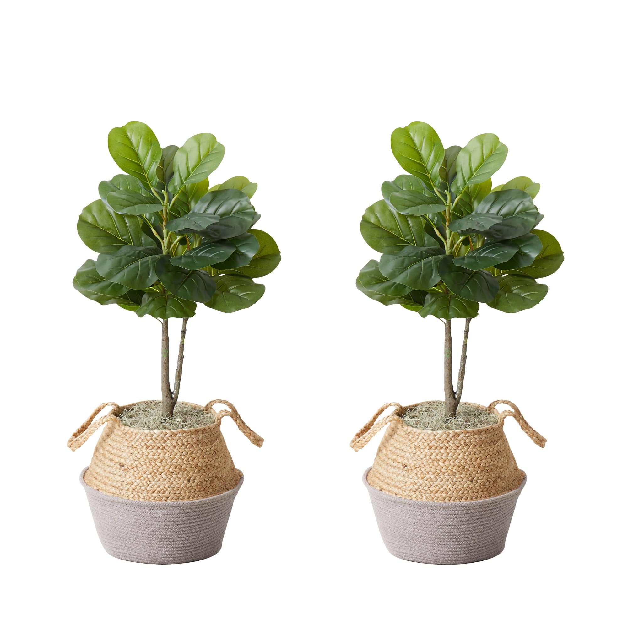 3ft. Artificial Fiddle Leaf Fig Tree With Handmade Cotton & Jute Woven Planter Set DIY Kit