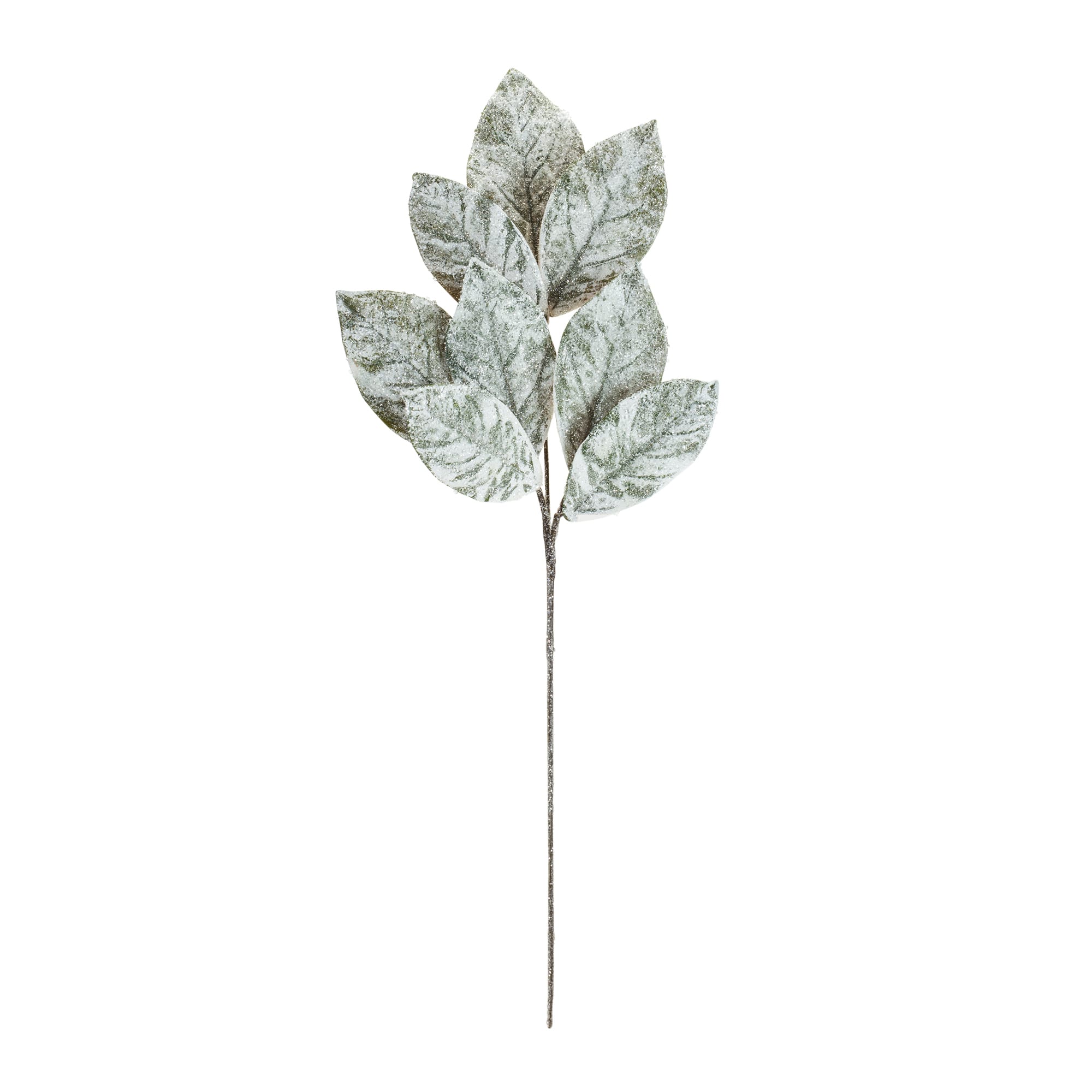 White Magnolia Leaf Sprays, 6ct.