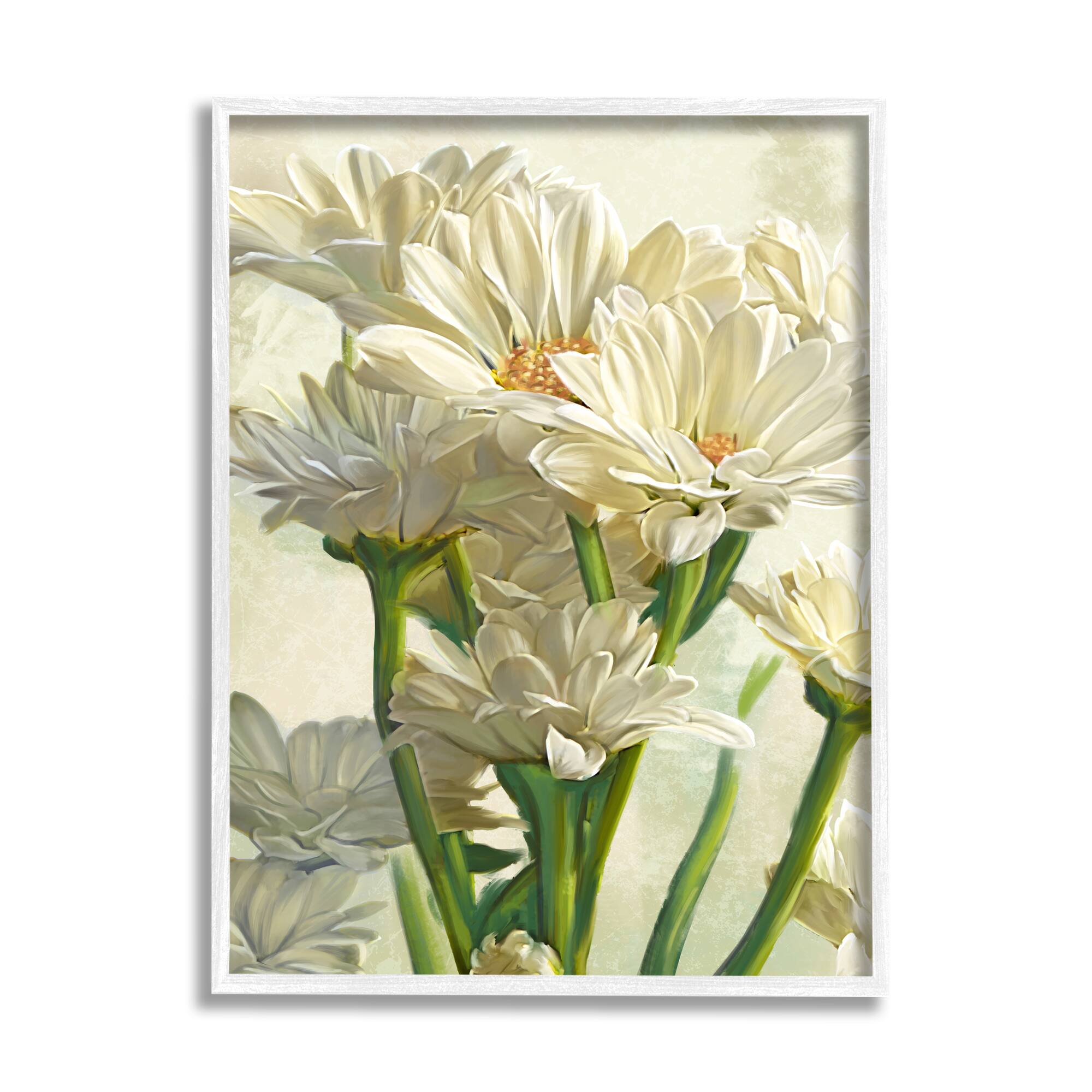 Stupell Industries Study of White Daisy Petals White Framed Wall Art