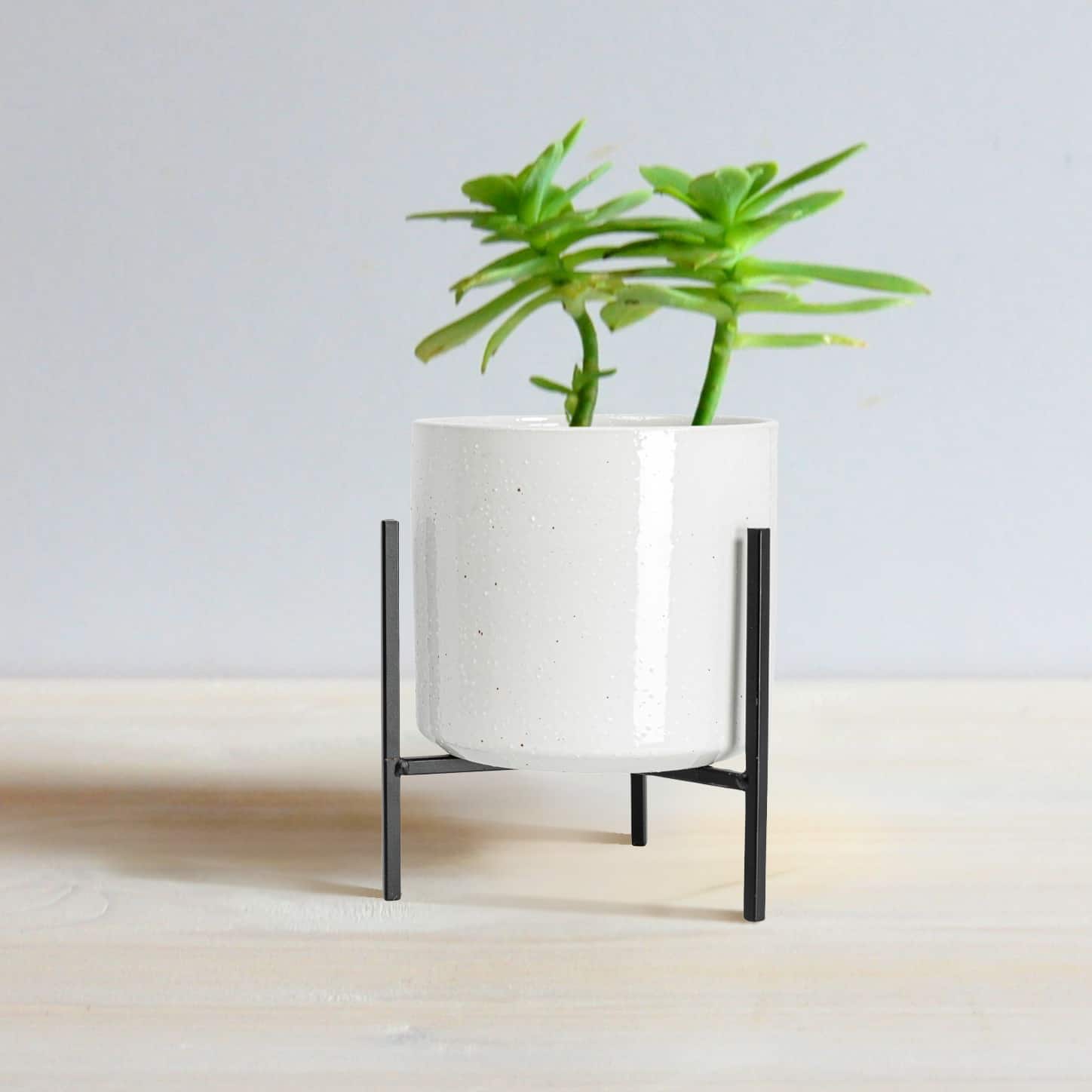 Hello Honey&#xAE; 8&#x22; White Stoneware Flower Pot with Black Metal Stand