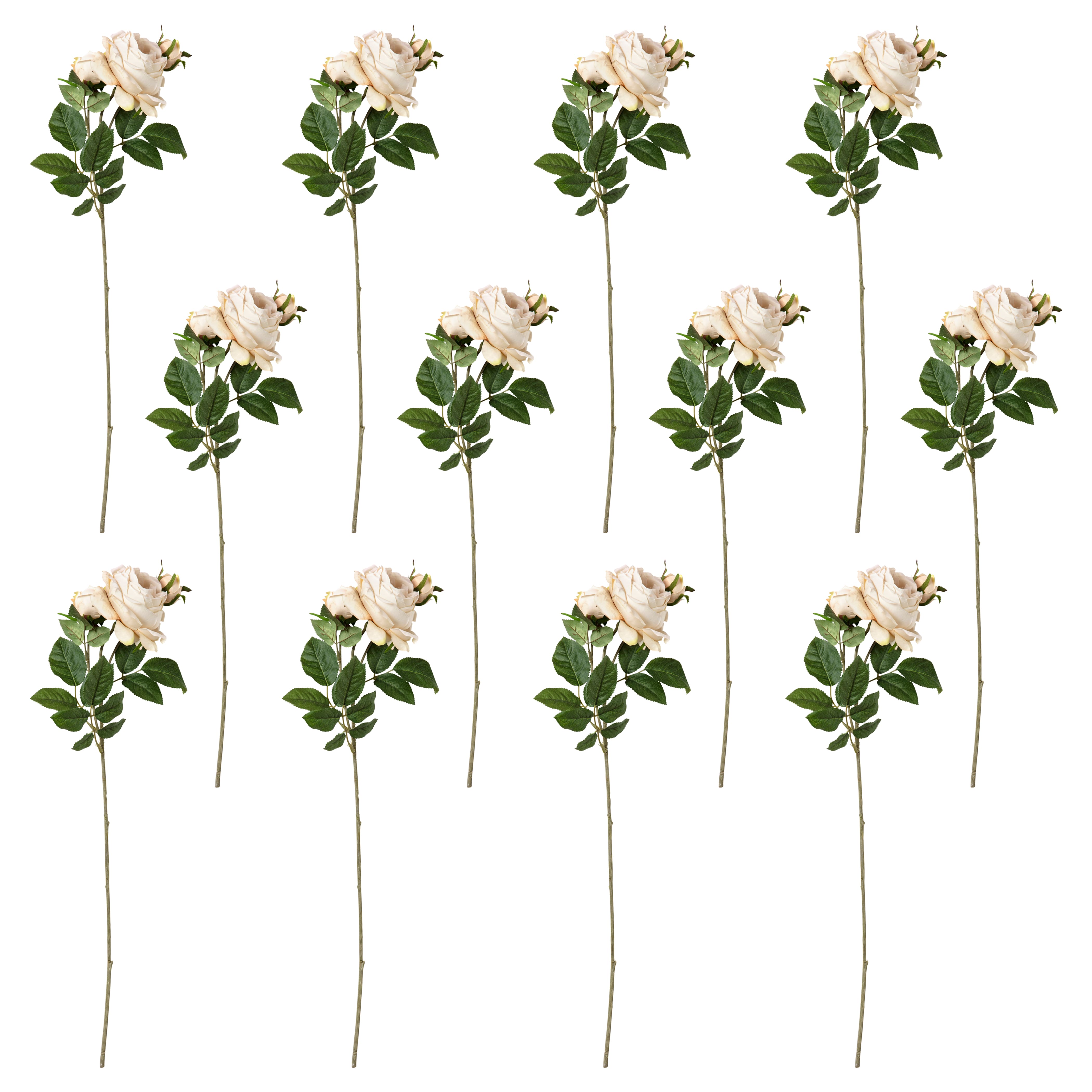 12 Pack: Toast English Rose Stem by Ashland®