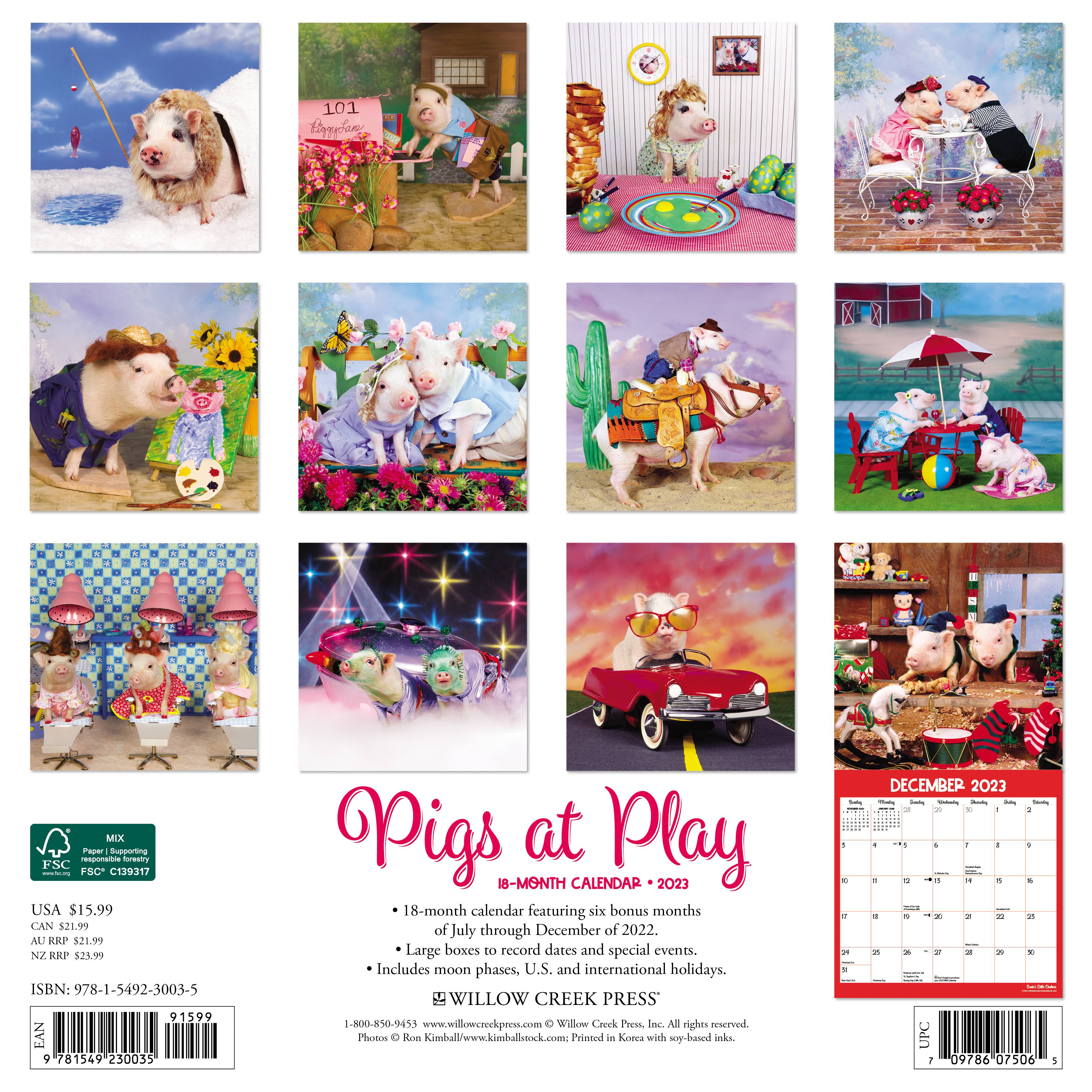 2023 Pigs at Play Wall Calendar | Michaels