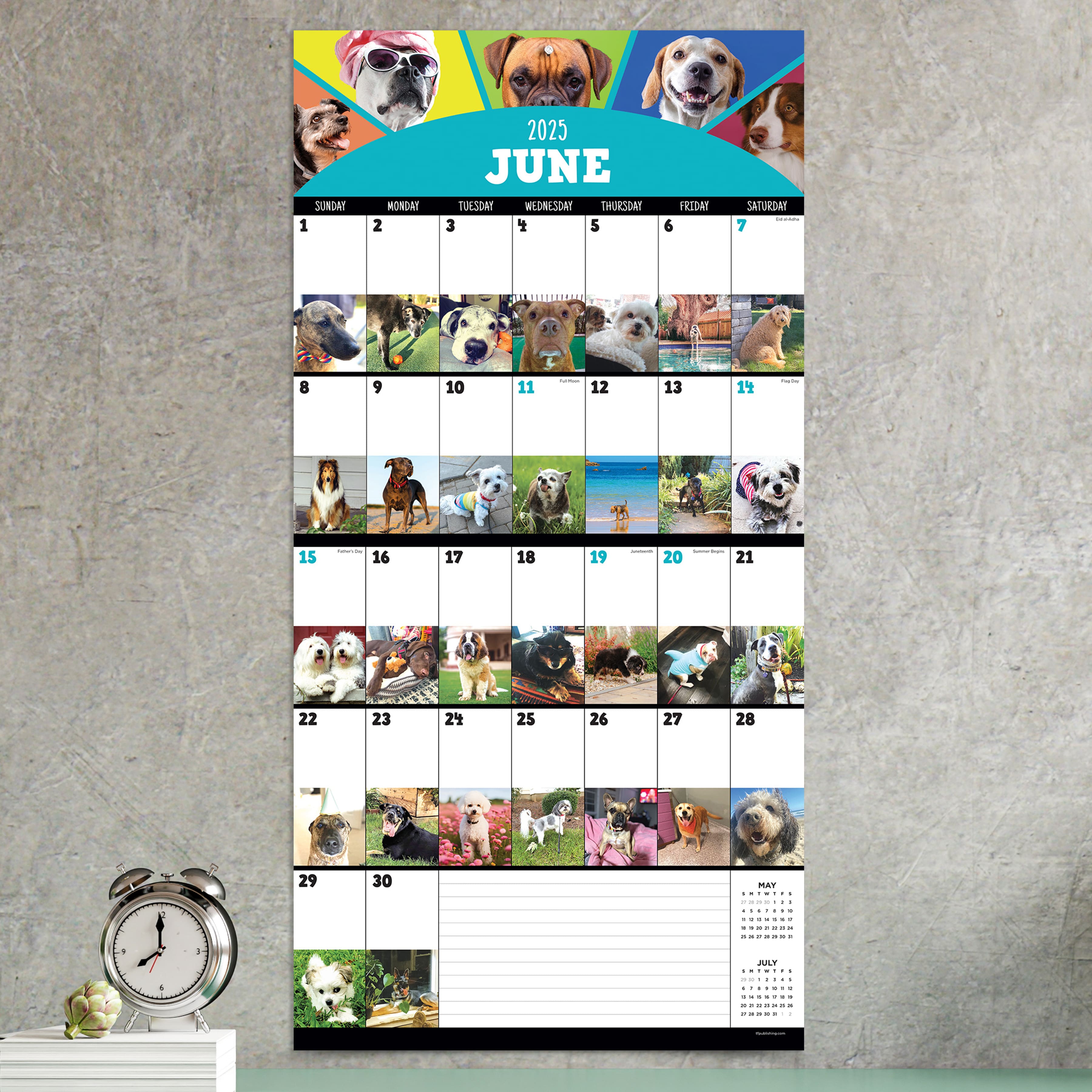 TF Publishing 2025 Dog-a-Day Wall Calendar