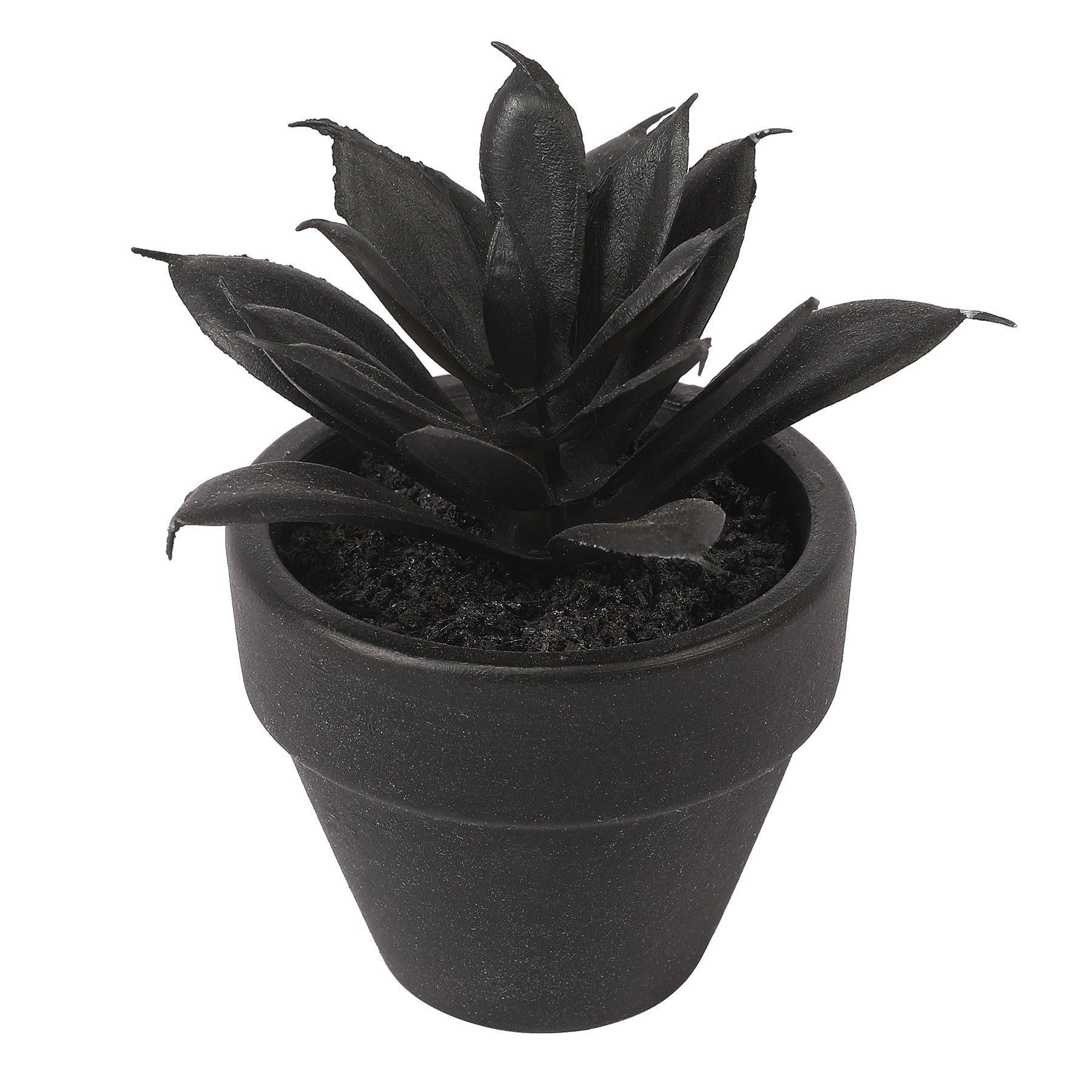 Assorted Mini Potted Succulent by Ashland&#xAE;, 1pc.