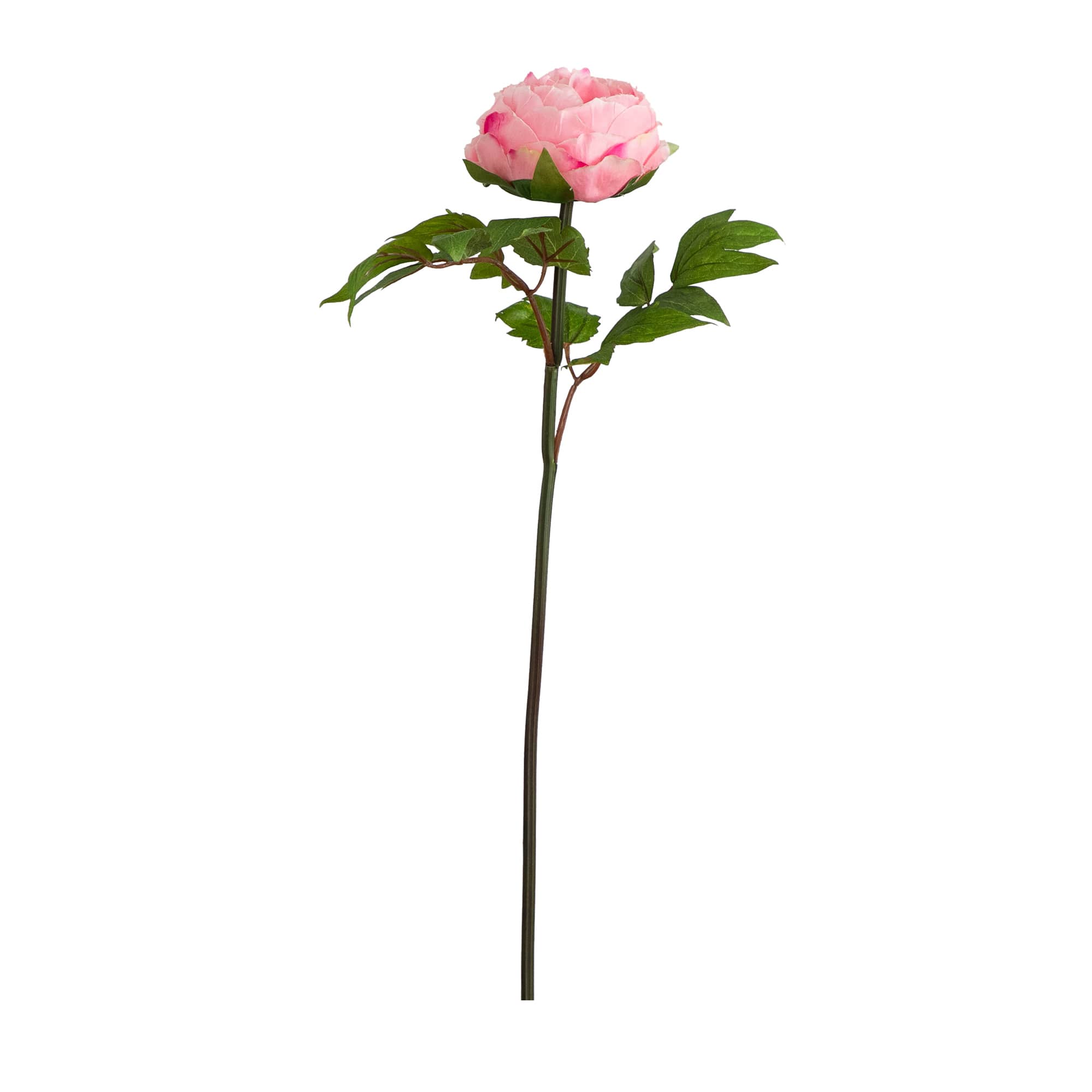 20&#x22; Pink Peony Flower Stems, 3ct.