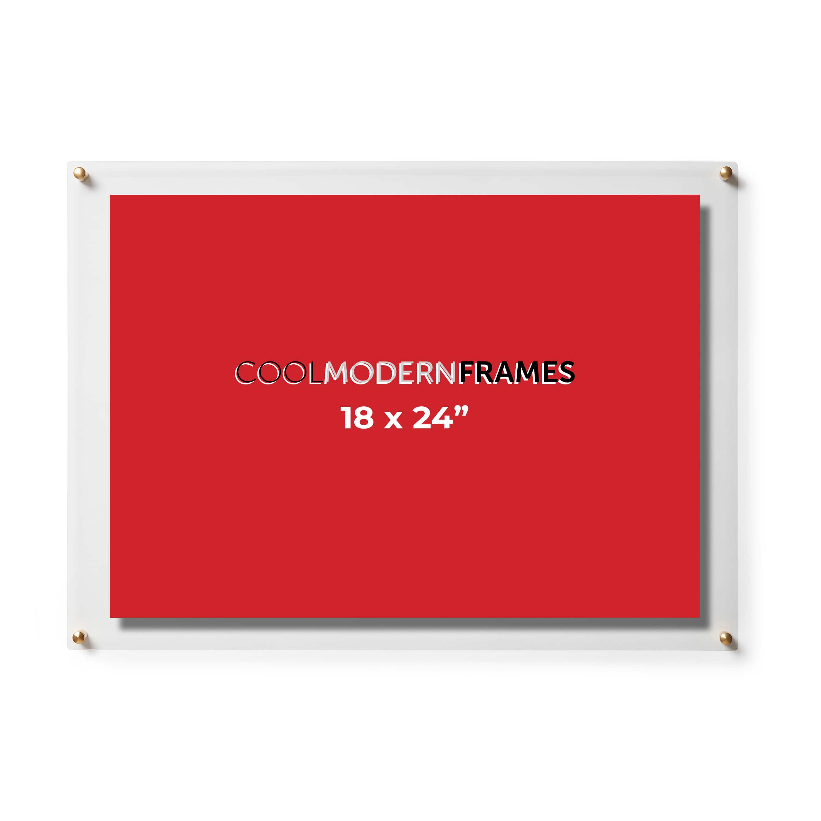 Cool Modern Frames Clear Acrylic Float Frame with Gold Hardware