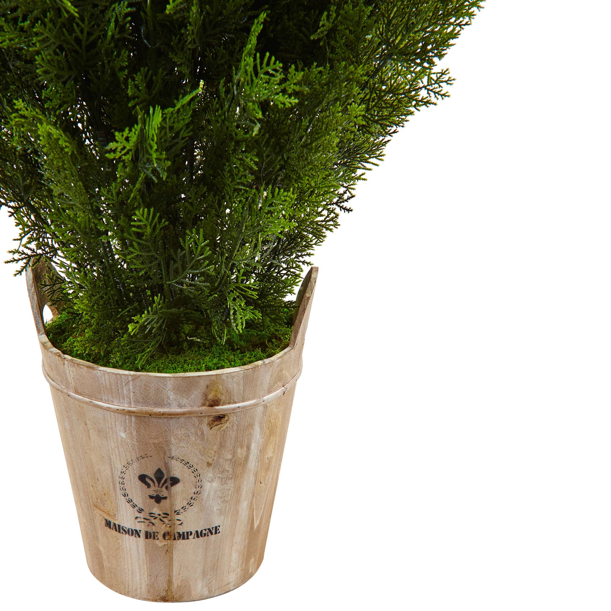 3ft. Cedar Tree in Barrel Planter