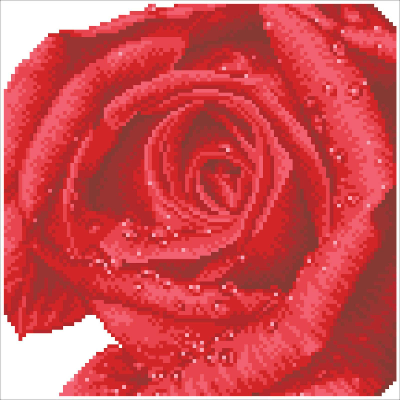 Diamond Dotz&#xAE; Intermediate Rose Dew with Frame Diamond Painting Kit