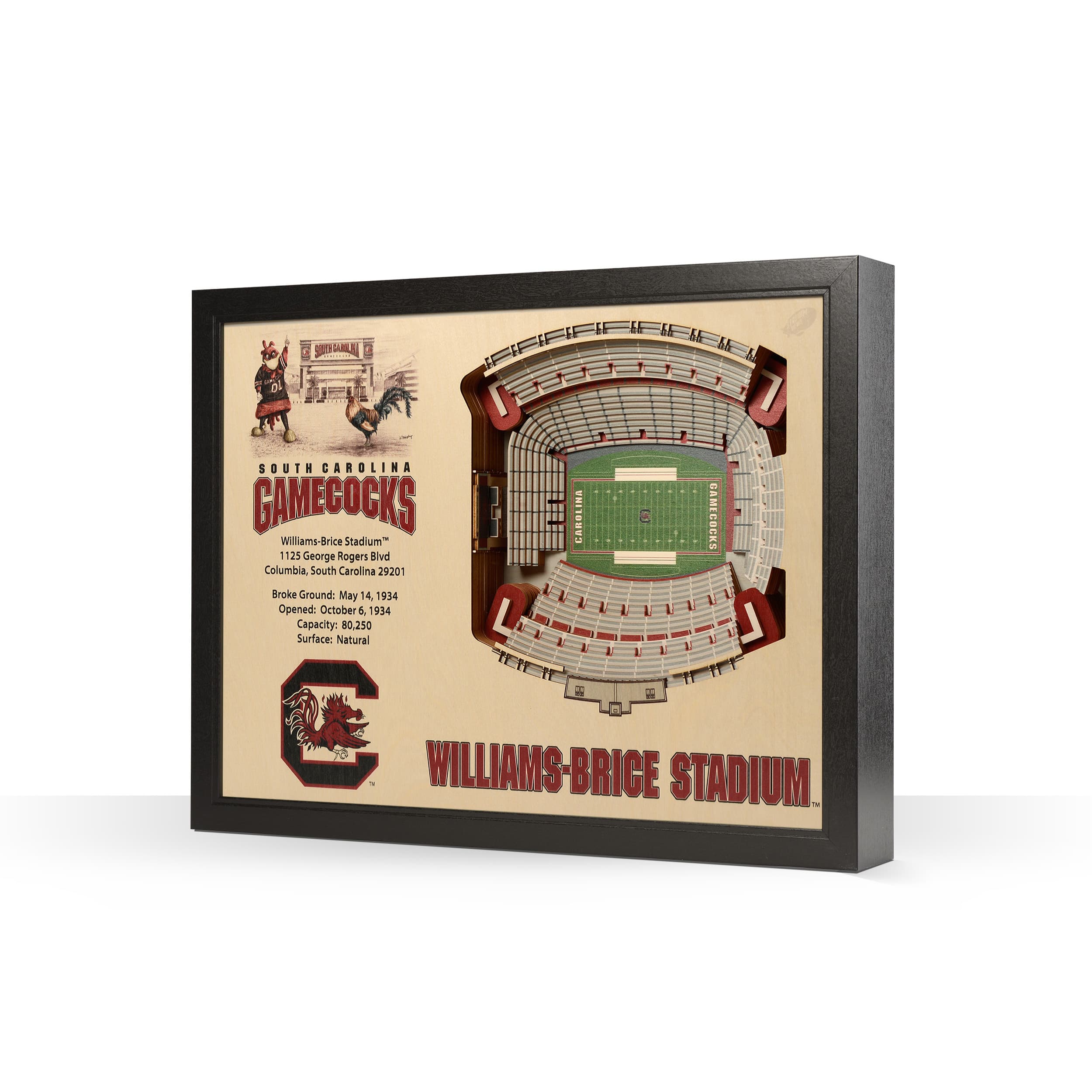 College Football 25-Layer StadiumView Wall Art | Michaels