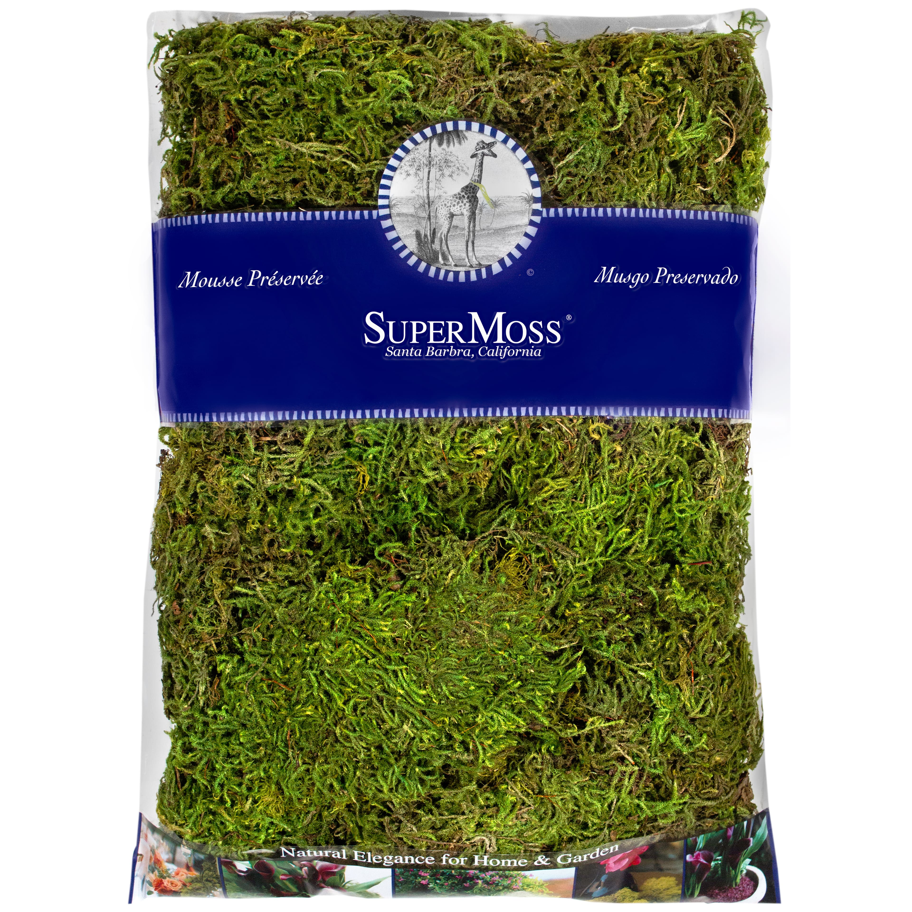 SuperMoss® Preserved Forest Moss