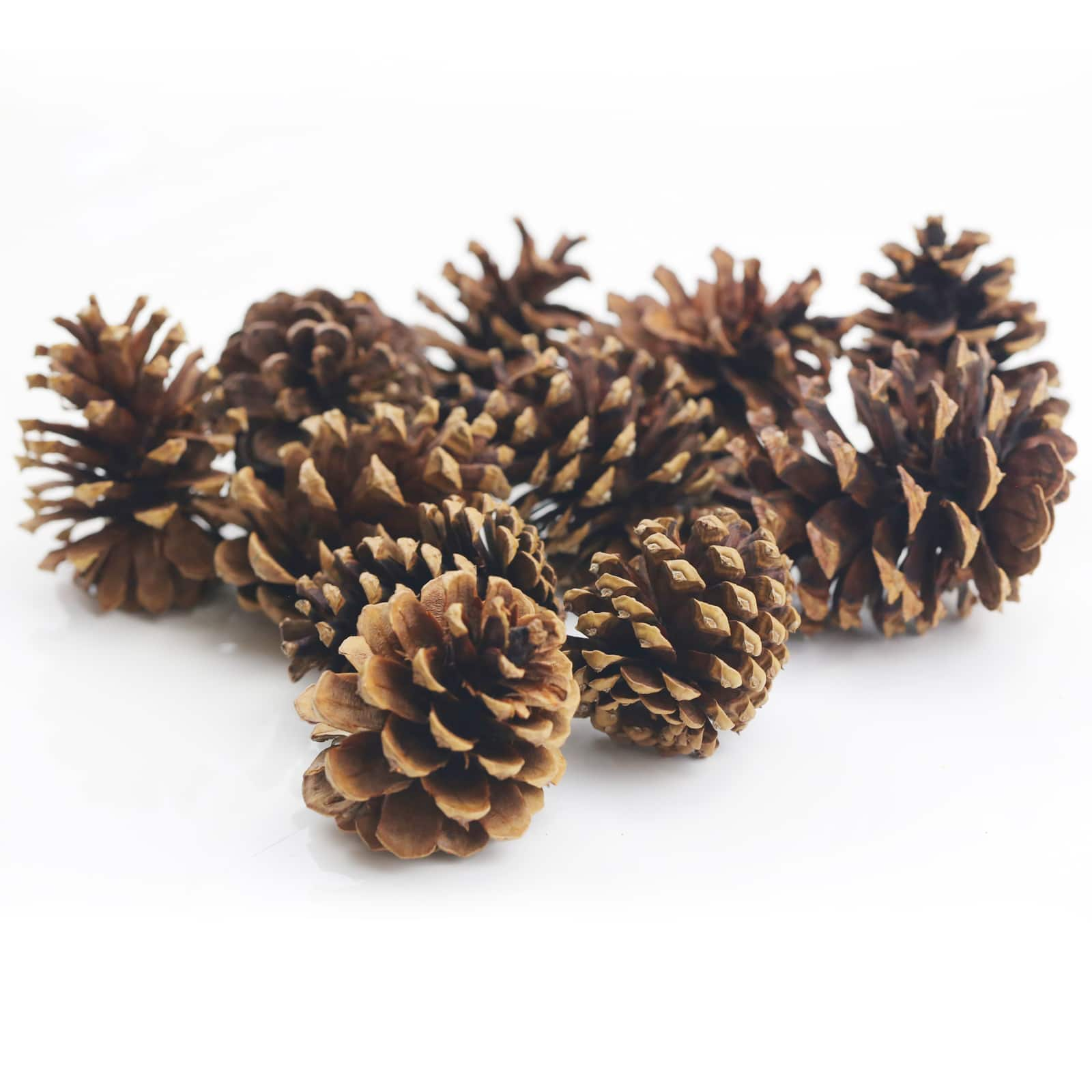 7oz. Cinnamon Scented Pinecones by Ashland&#xAE;