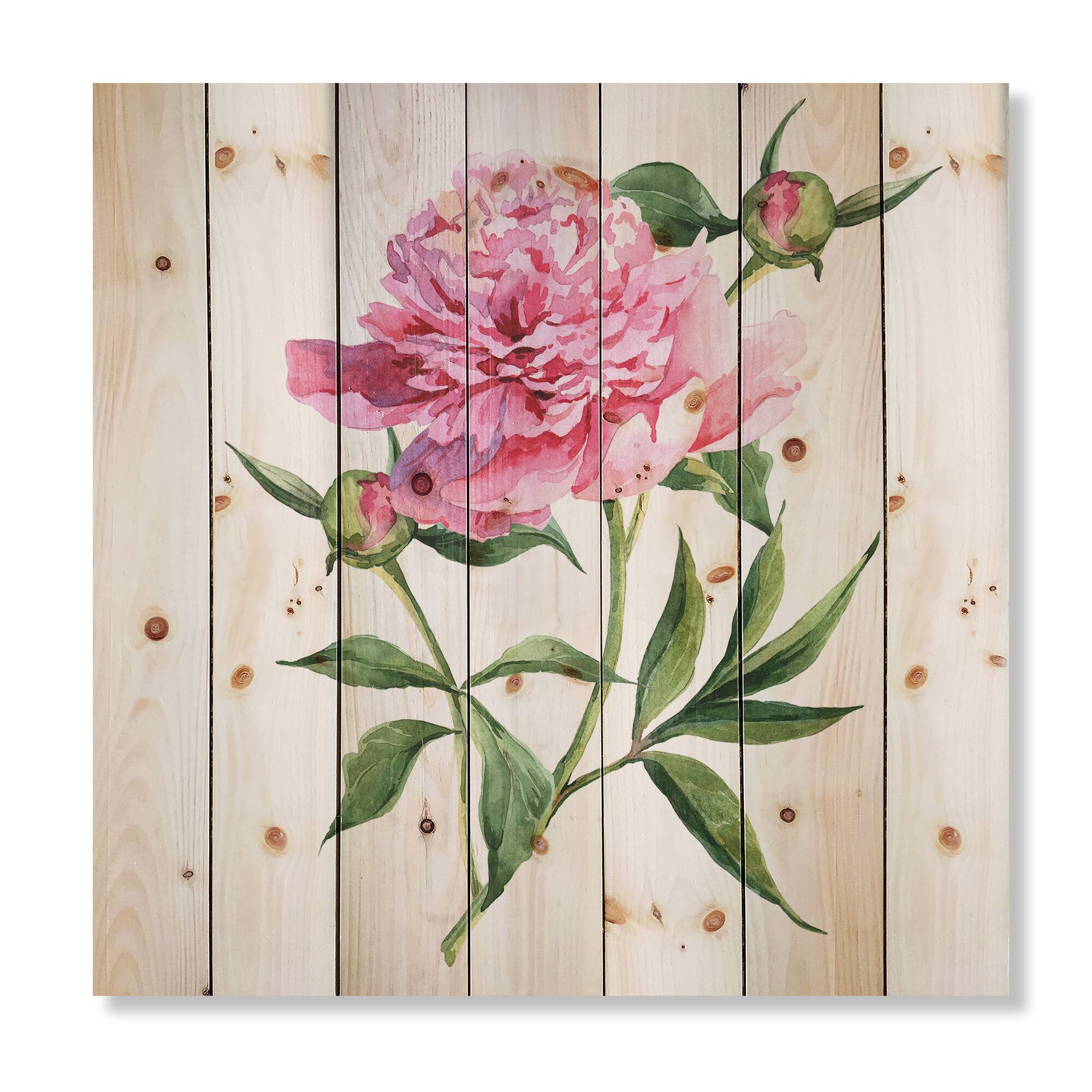 Designart - Vintage Pink Peonies - Traditional Print on Natural Pine Wood