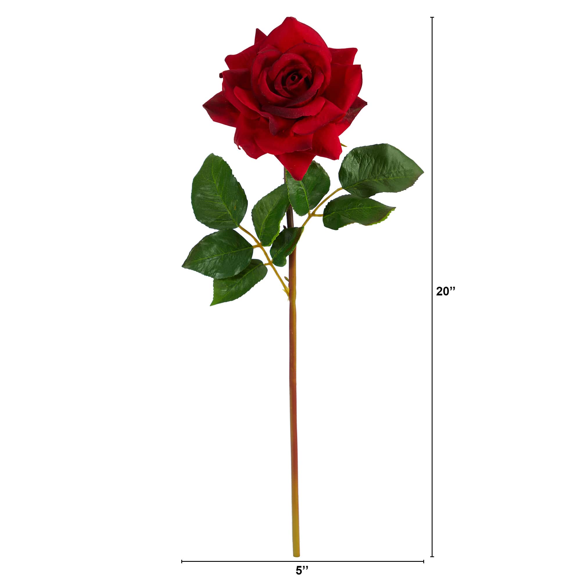 Red Rose Stem, 6ct.