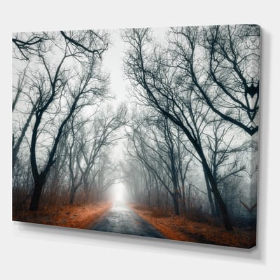 Designart - Mystic Road in Forest - Landscape Photography Canvas Print ...