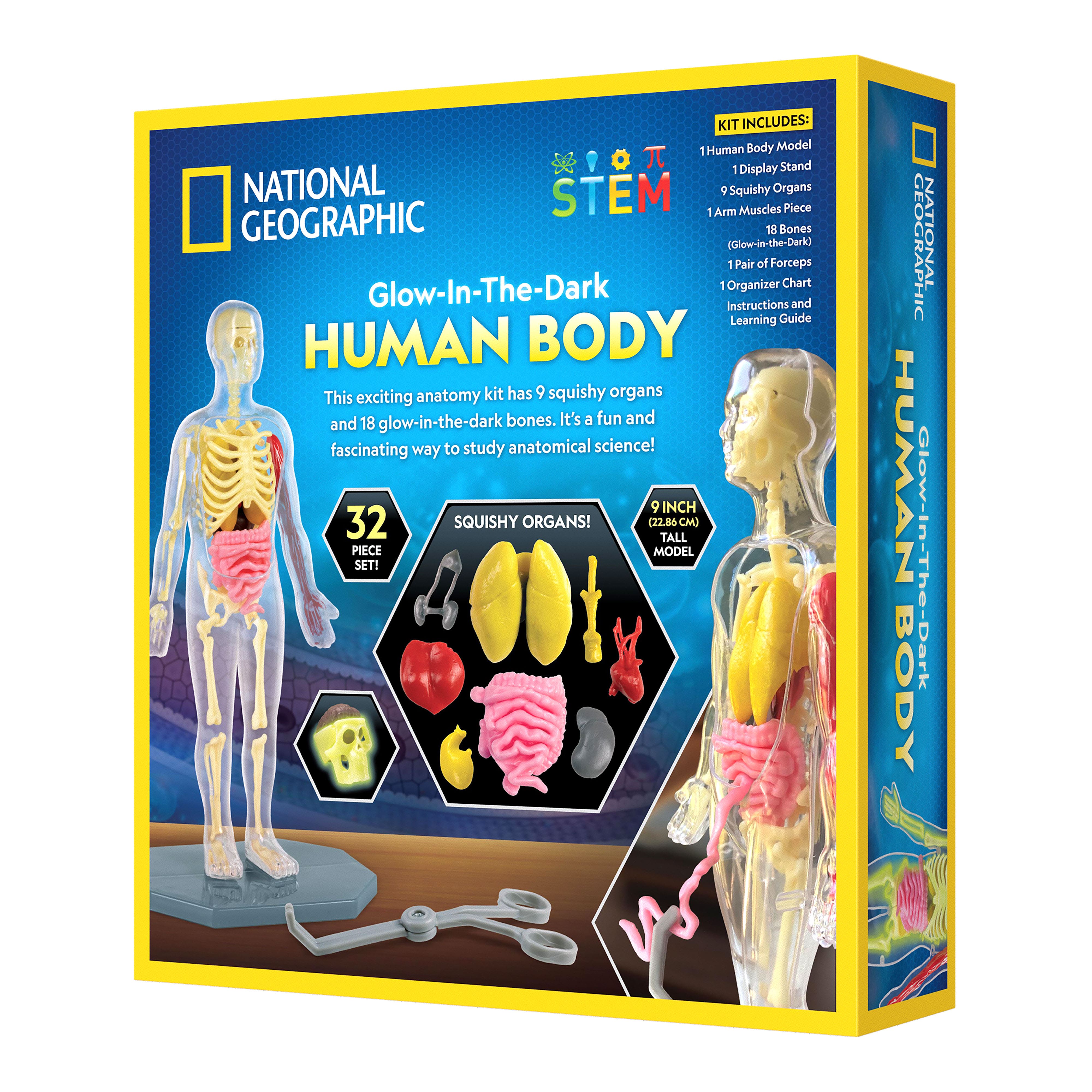 National Geographic&#x2122; Glow-in-the-Dark Human Body