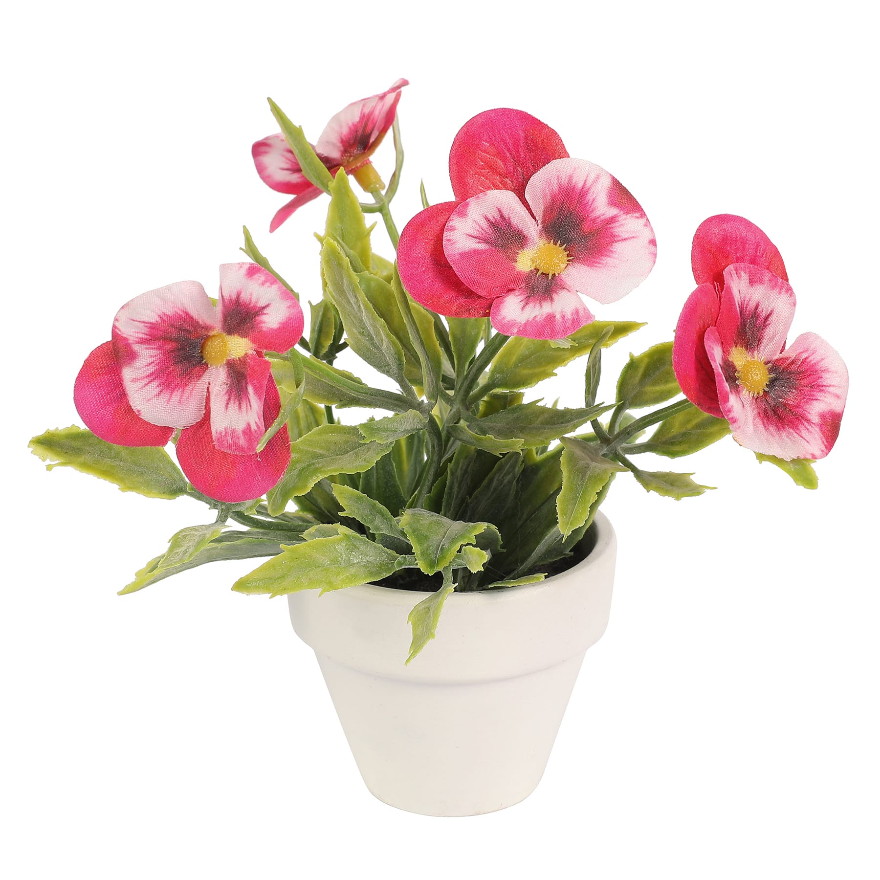 Assorted Micro Premade Flowering Plant by Ashland&#xAE;