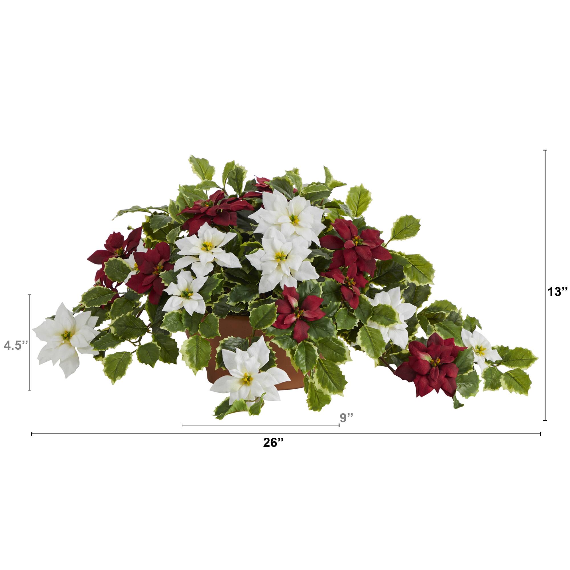 13" Poinsettia & Variegated Holly Plant in Terracotta Planter