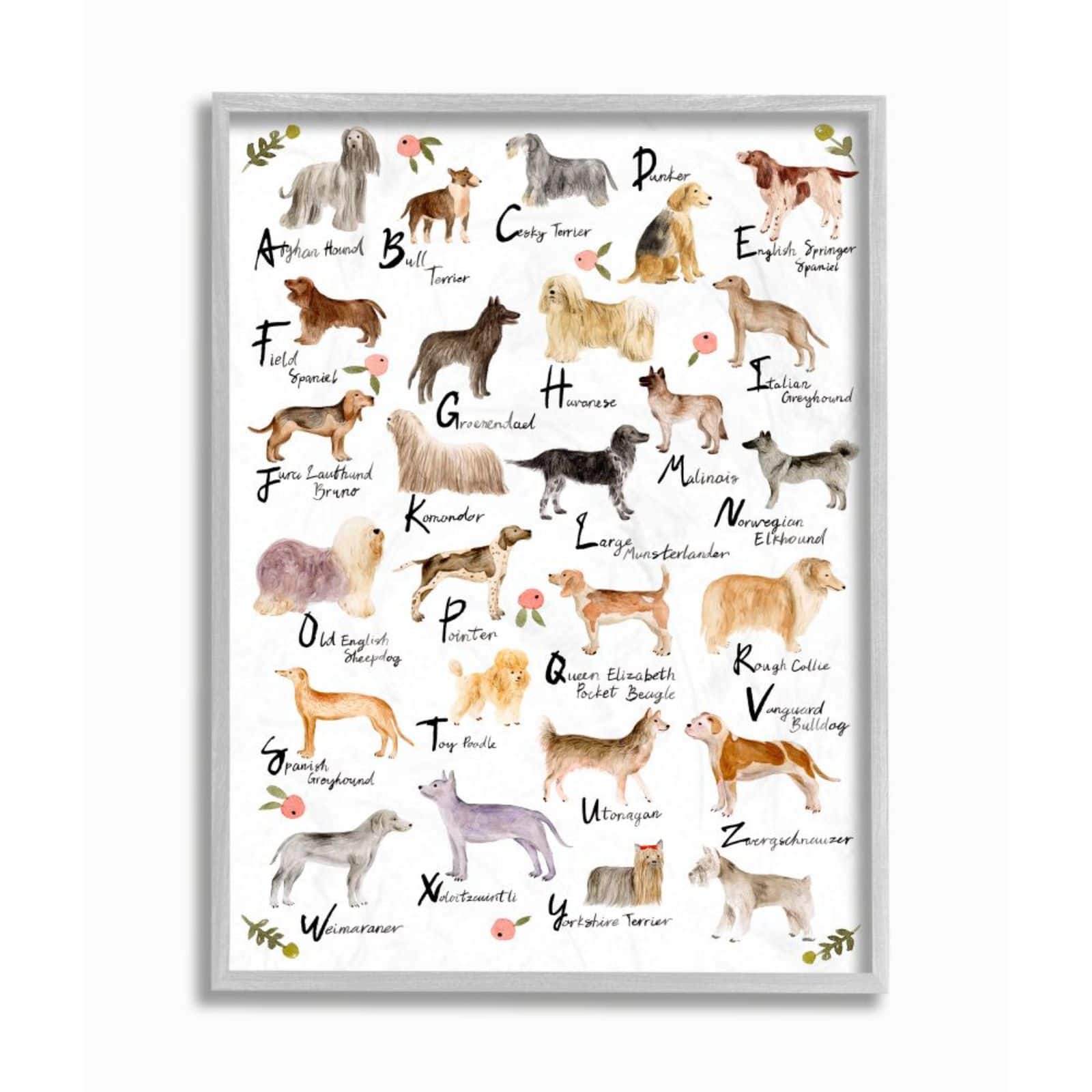 Stupell Industries Chic Alphabet of Dogs with Floral Detail Framed Wall Art