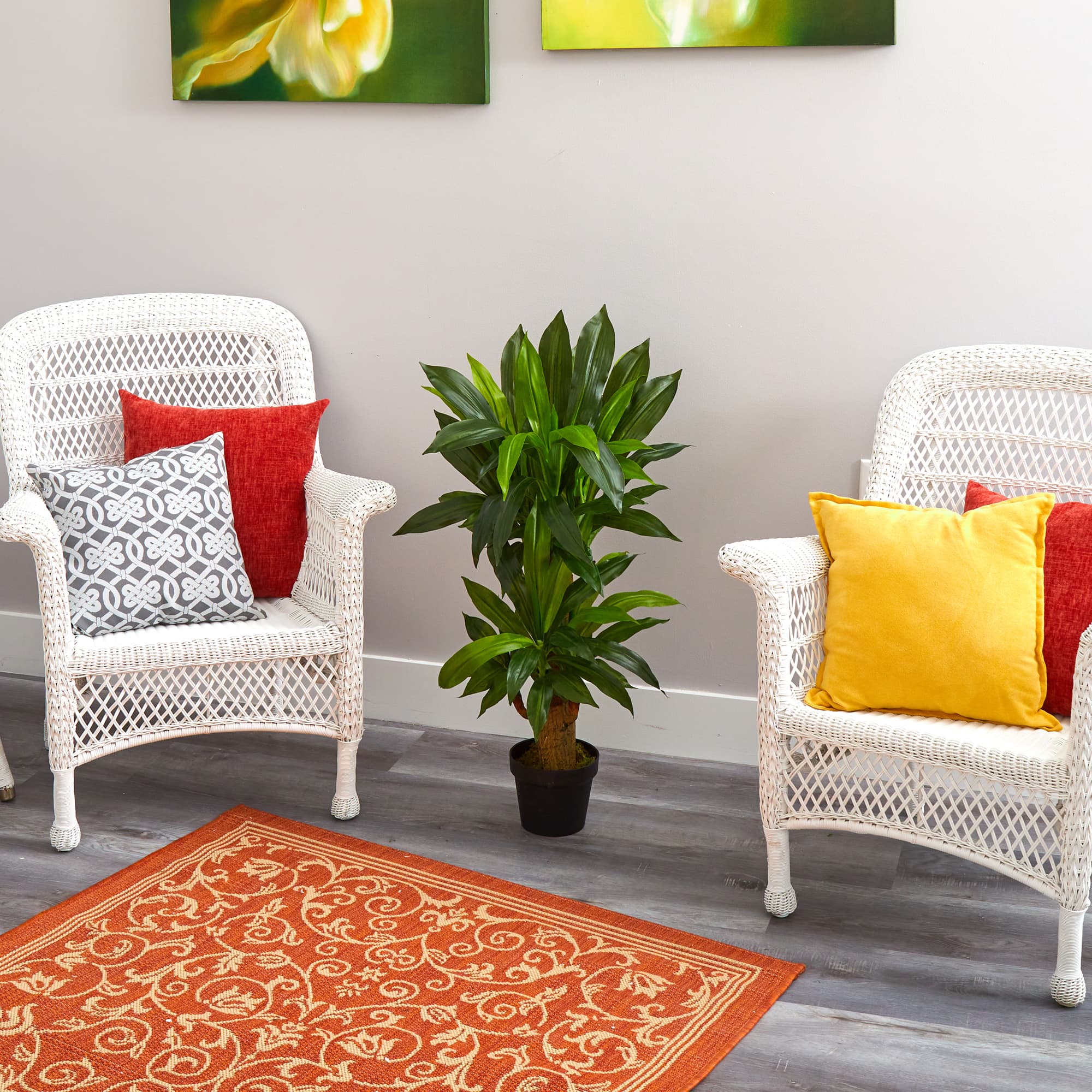 3ft. Potted Corn Stalk Plant